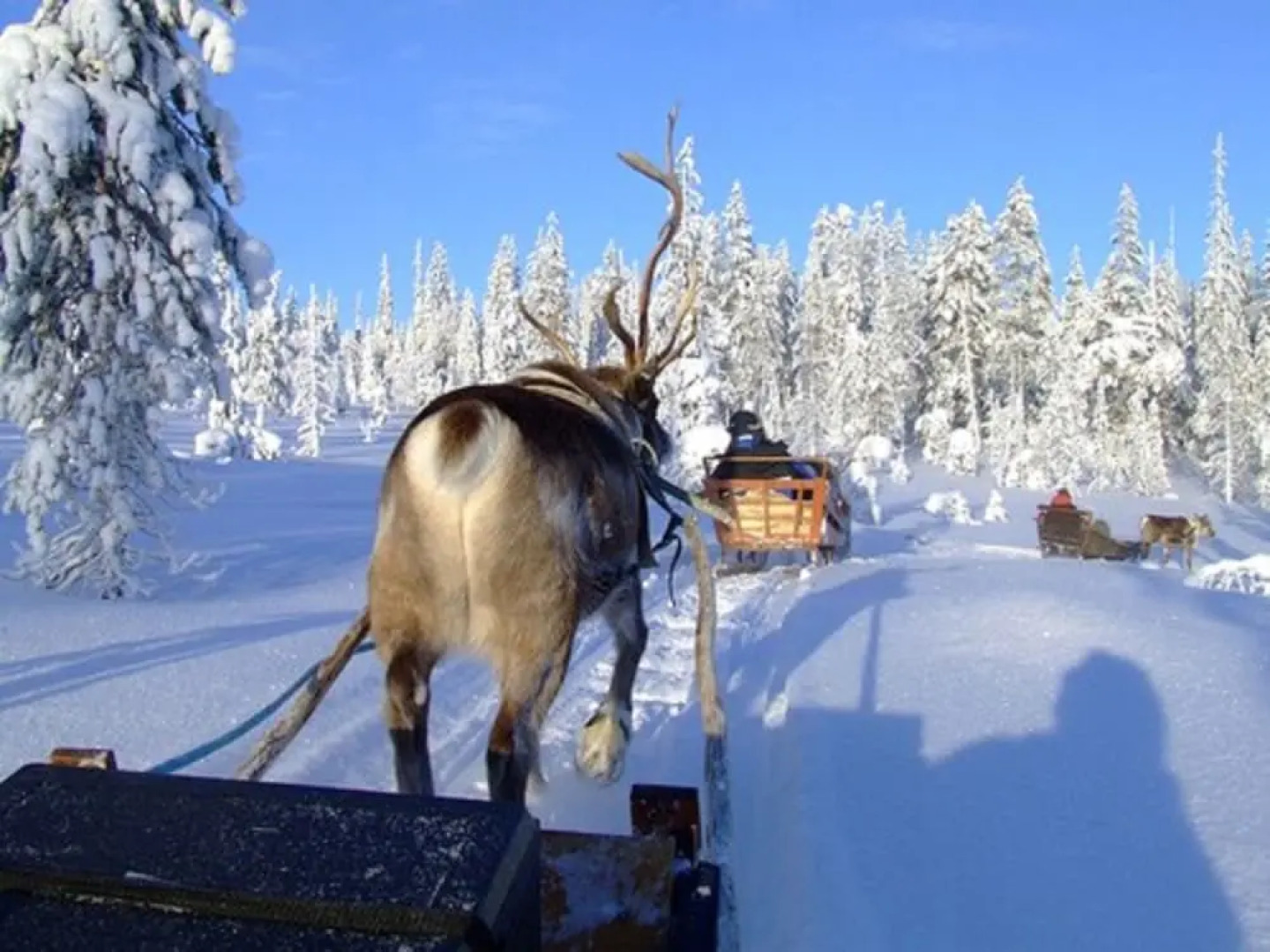 Holiday Club Salla Apartments