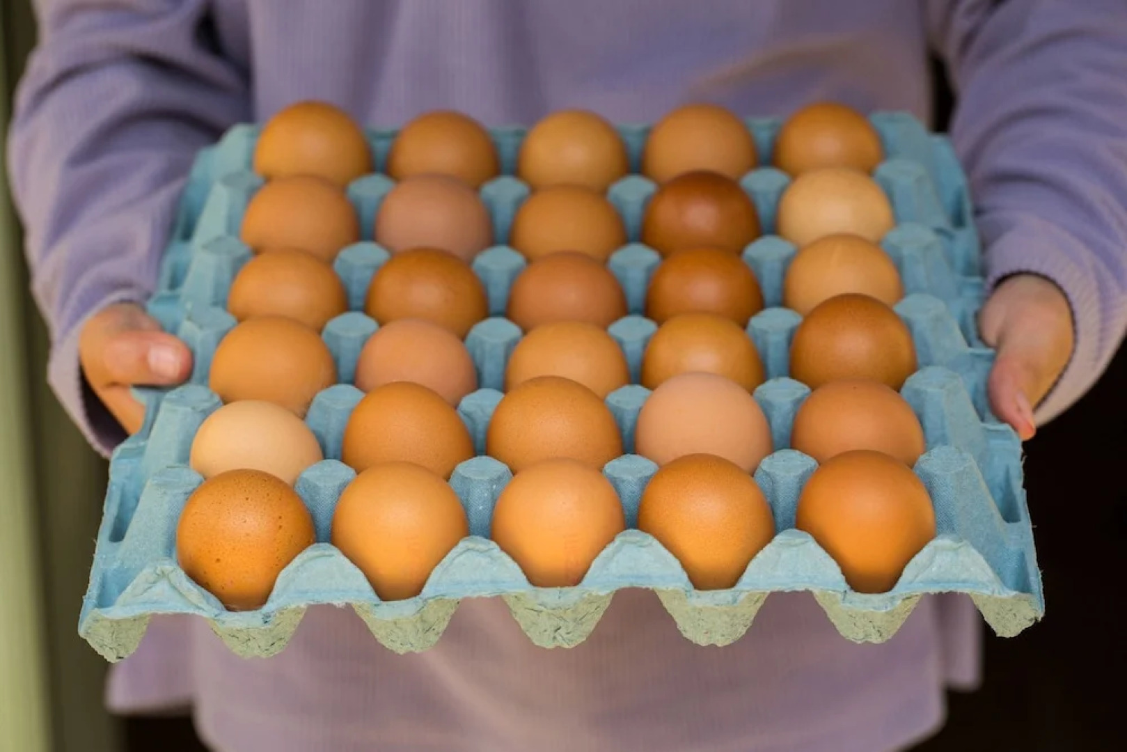 Gorselands Hall Bed and Breakfast