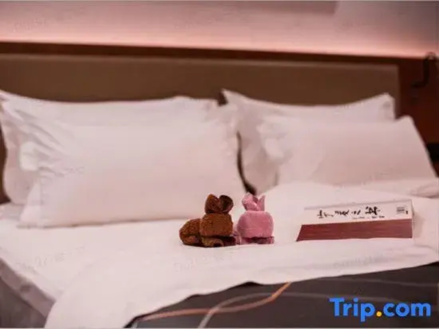 Chonpines Hotels·Yinchuan Changxiangyi