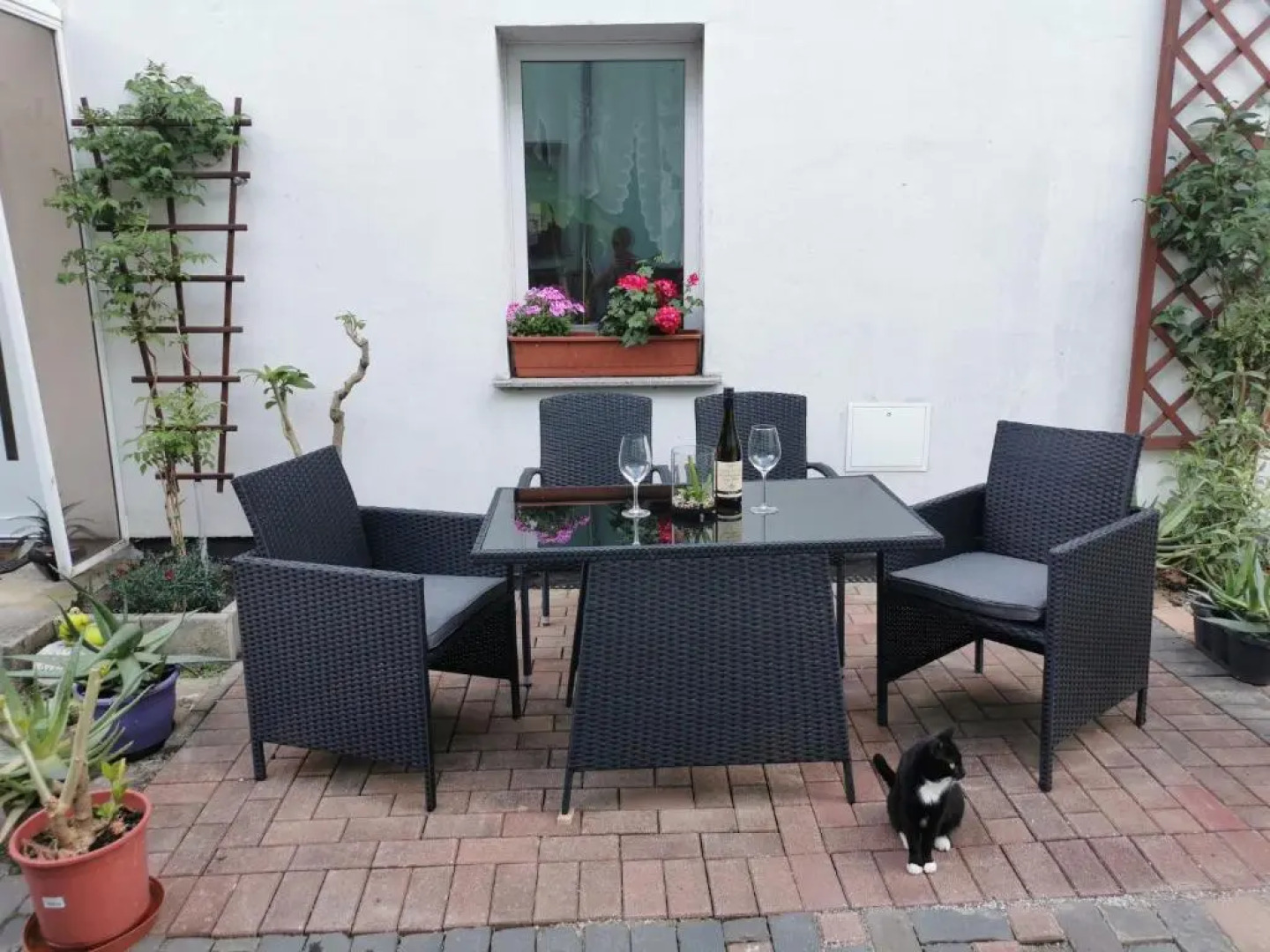 Vor den Toren Dresdens