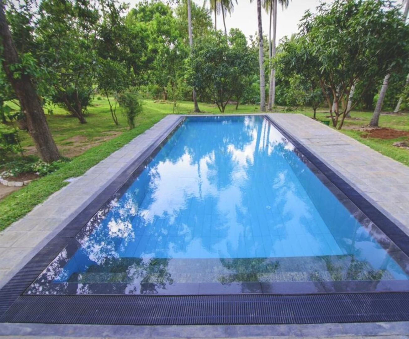 The Berrycove Bungalow