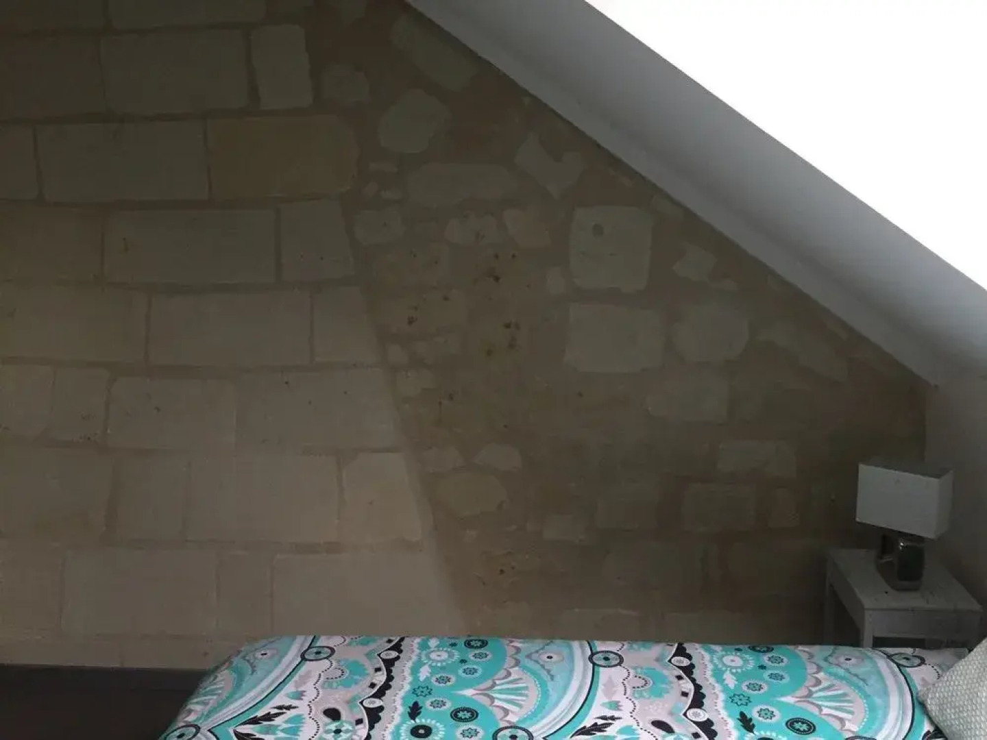 Gîte dans le vignoble de Bourgueil