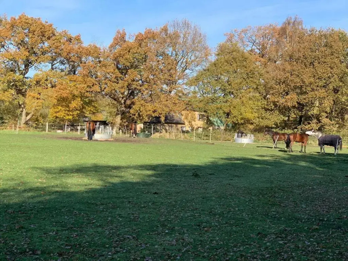 Ferienwohnung Reitanlage Bärenz