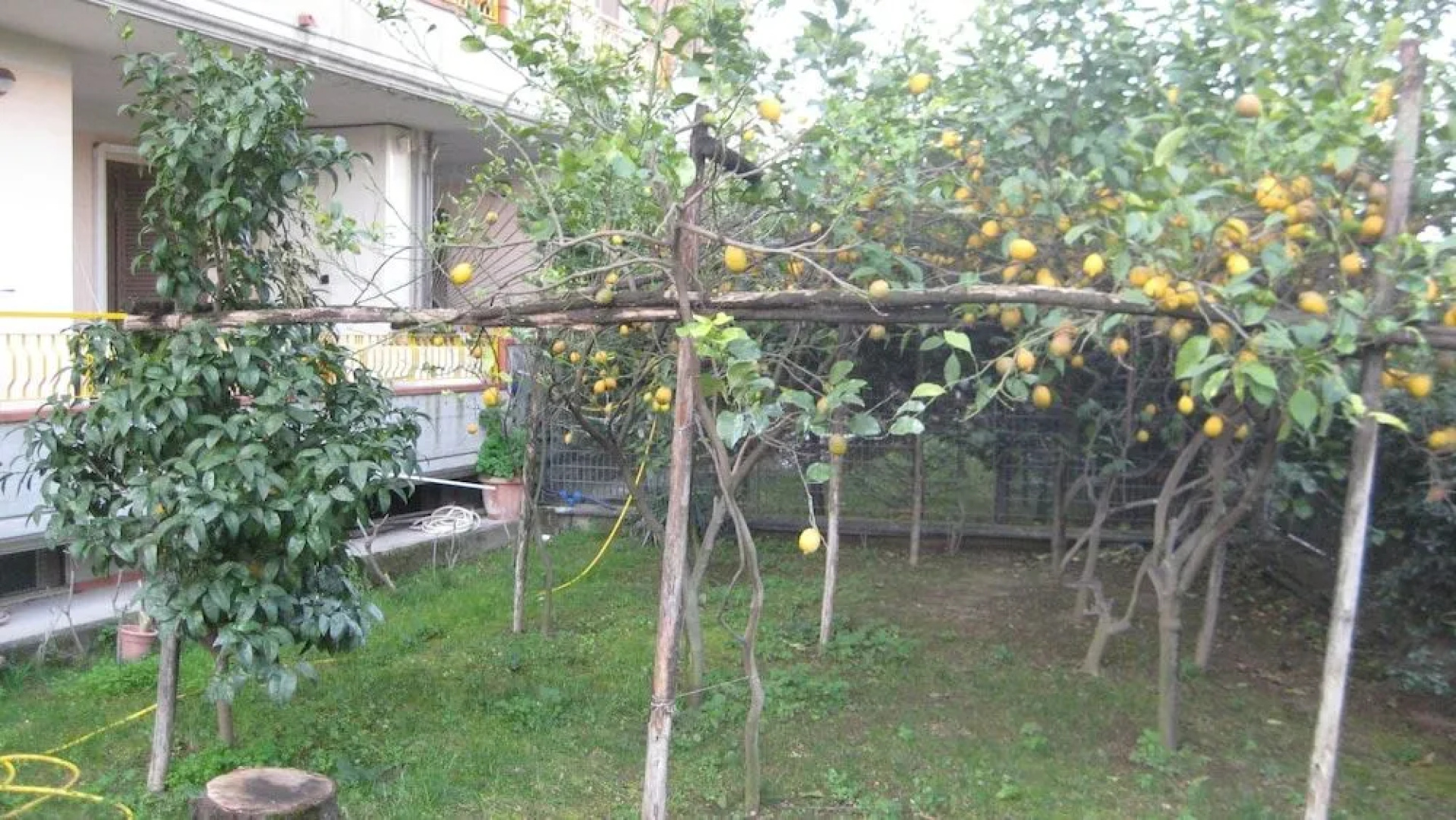 Appartamento  Serena