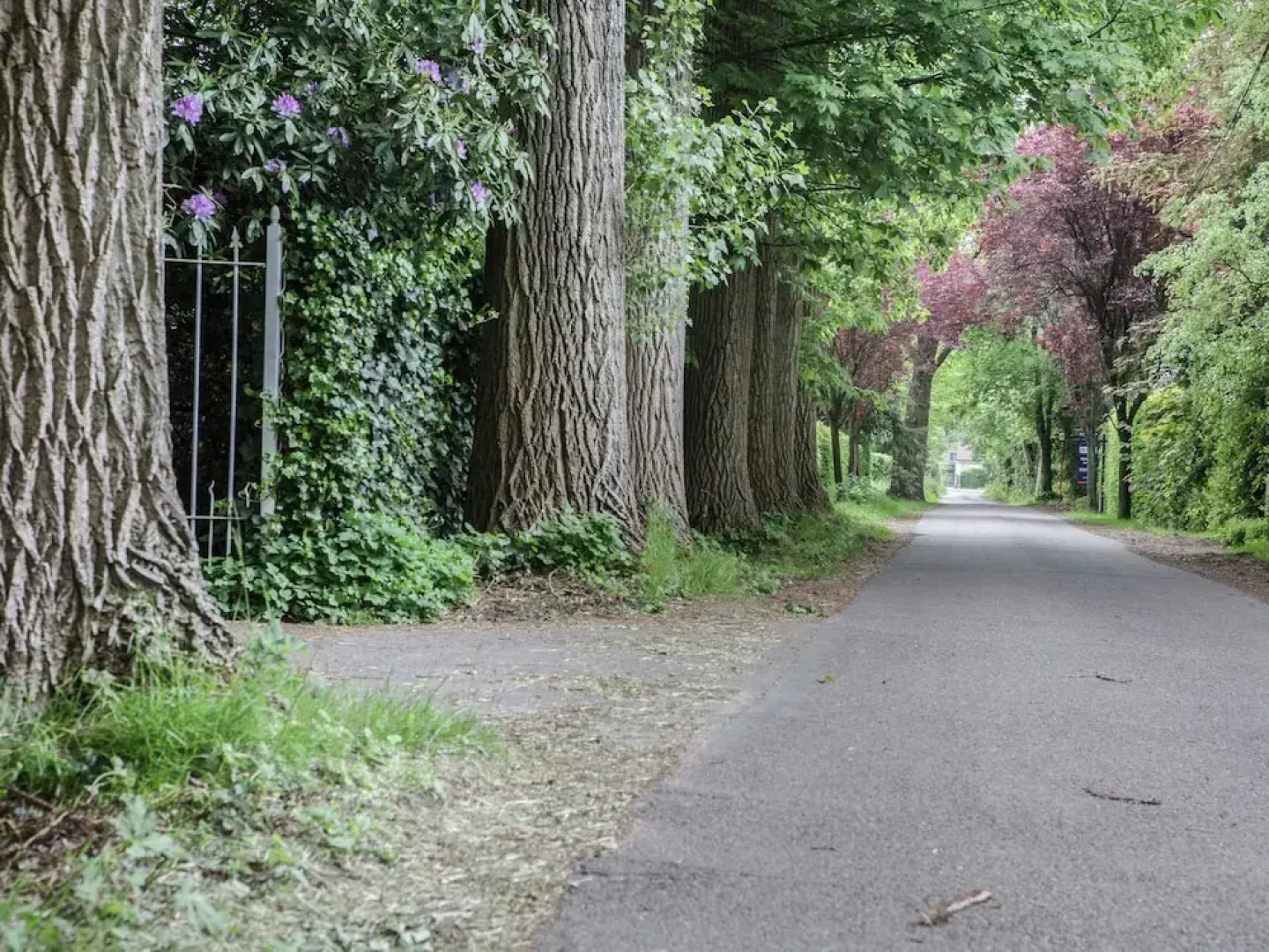 Westmalle Forest Garden Home