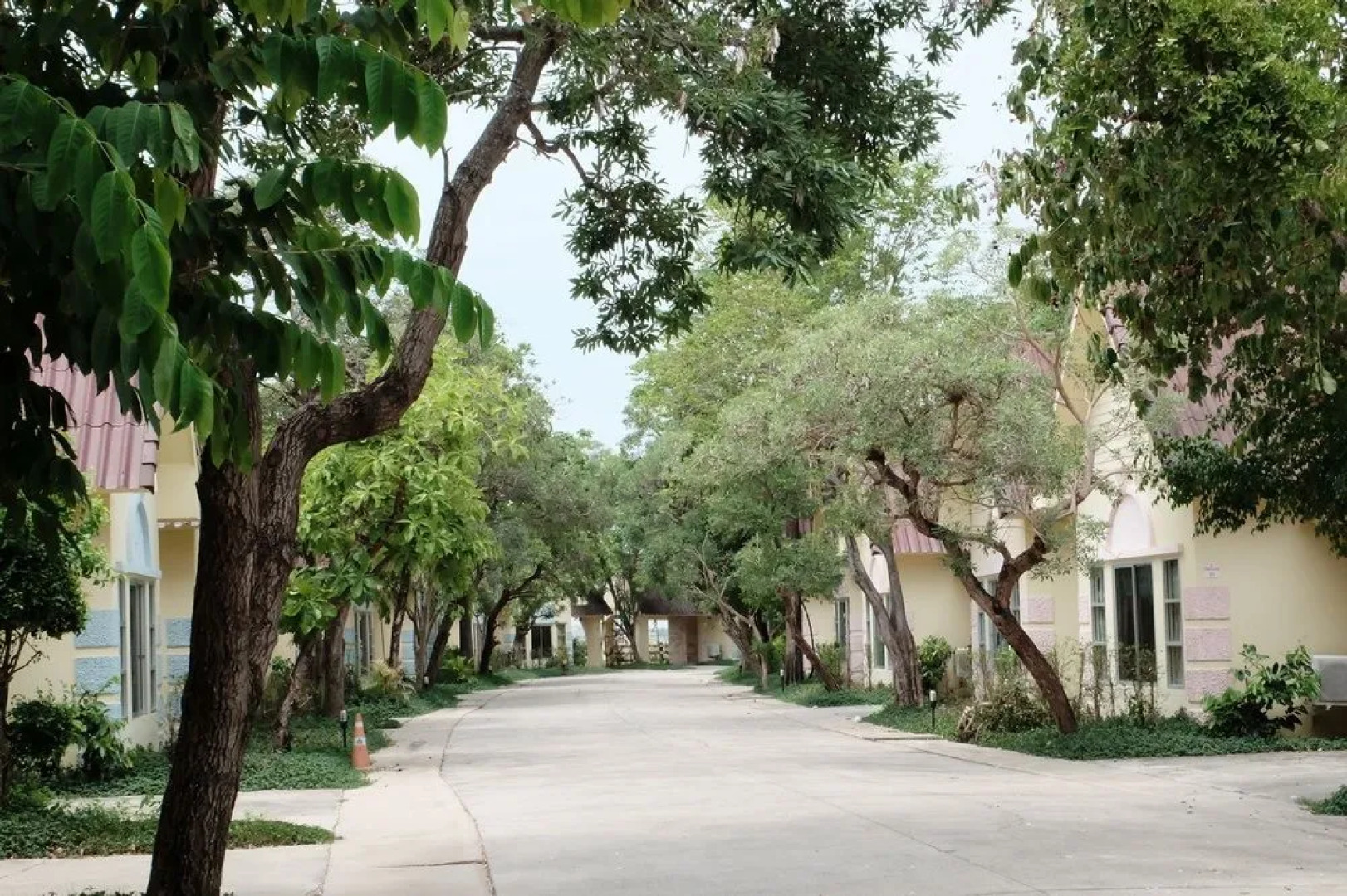 The Society Ayutthaya Resort