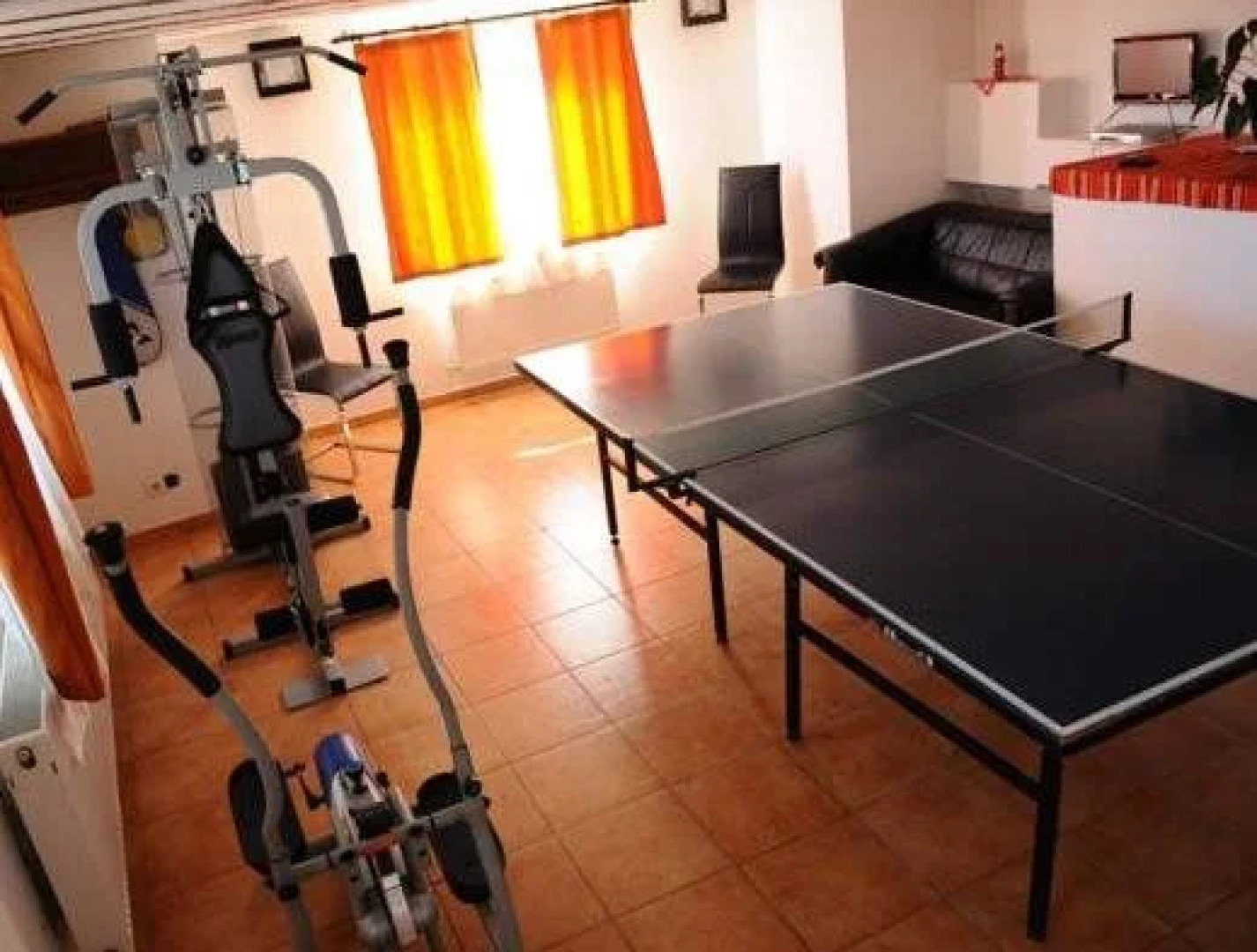 Vila Stefana Paltinis