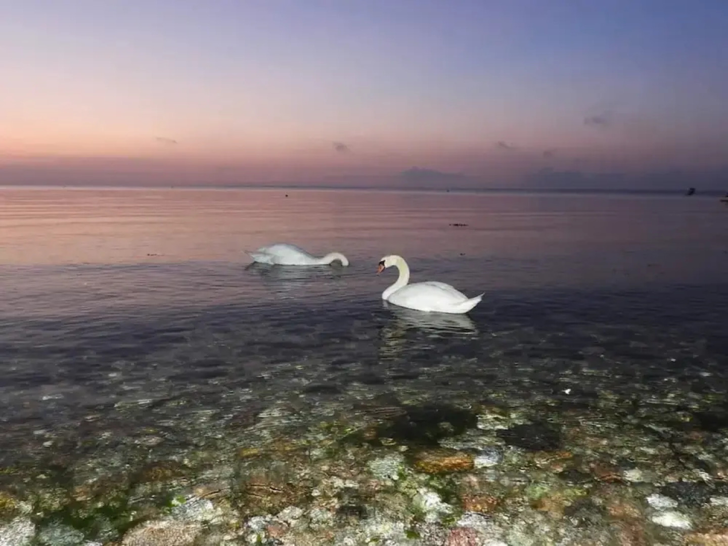 Secluded Cottage Retreat at Ordrup Naes-by Traum