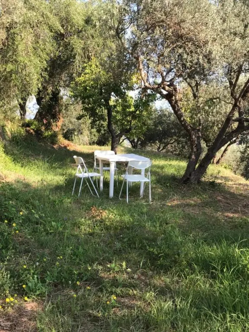 AGRITURISMO ARMO degli ULIVI