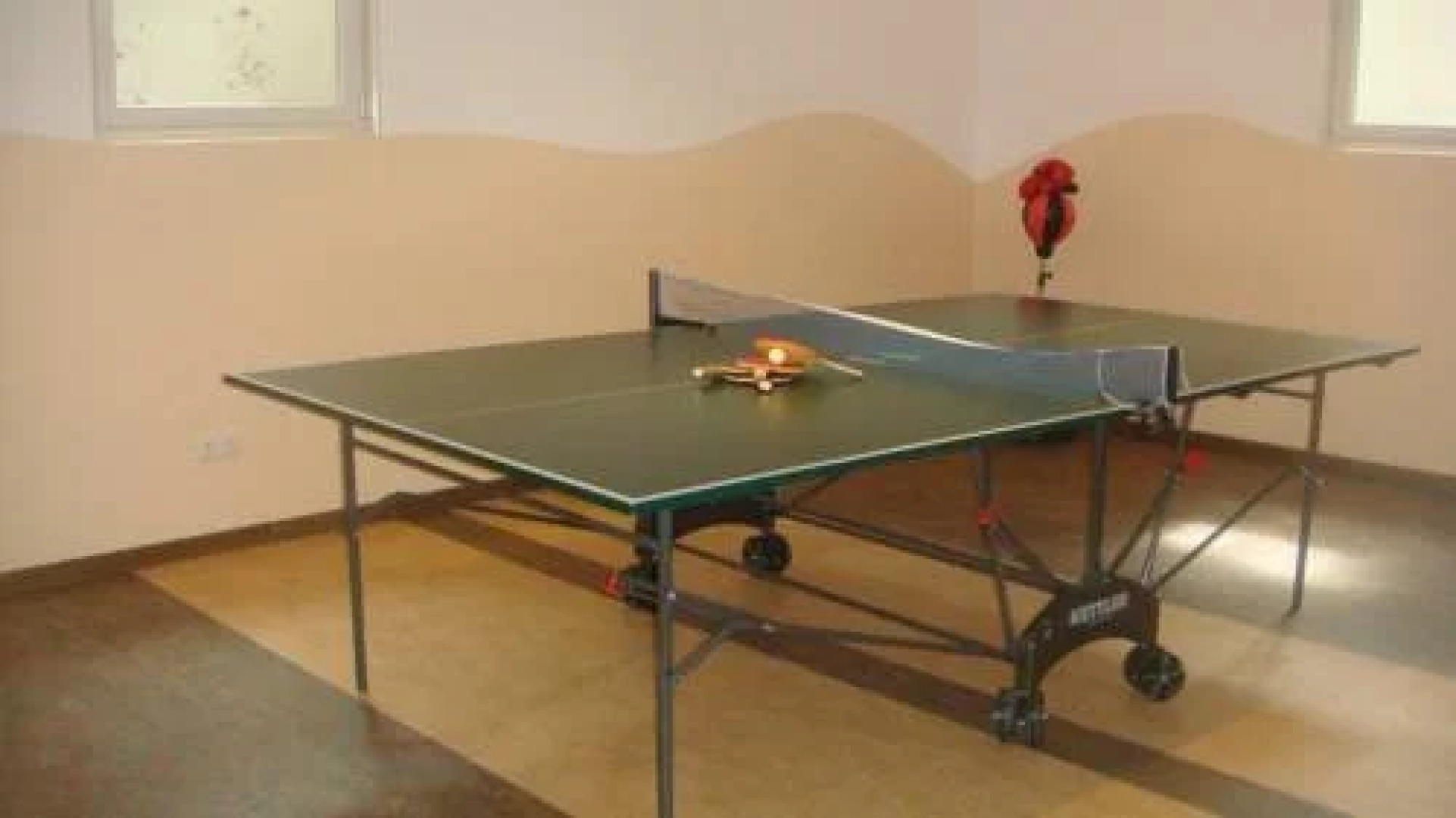 Bio-Bauernhof Obertrattenbachhof