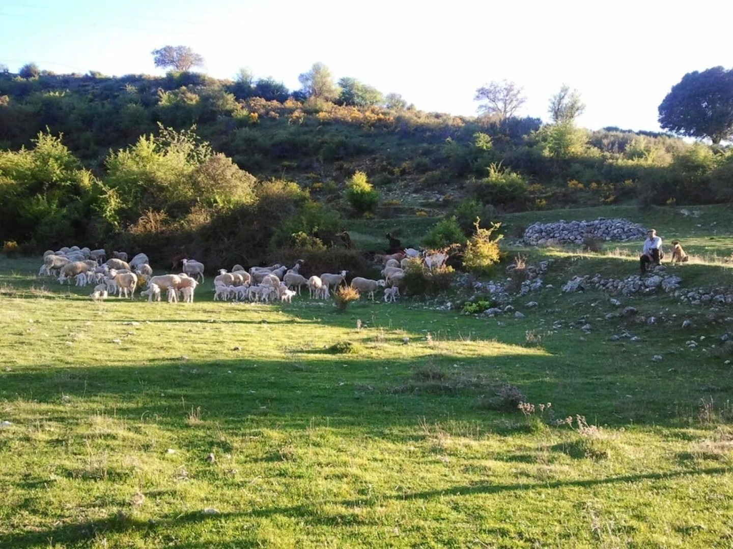 Studio in El Cerezo, With Pool Access and Wifi