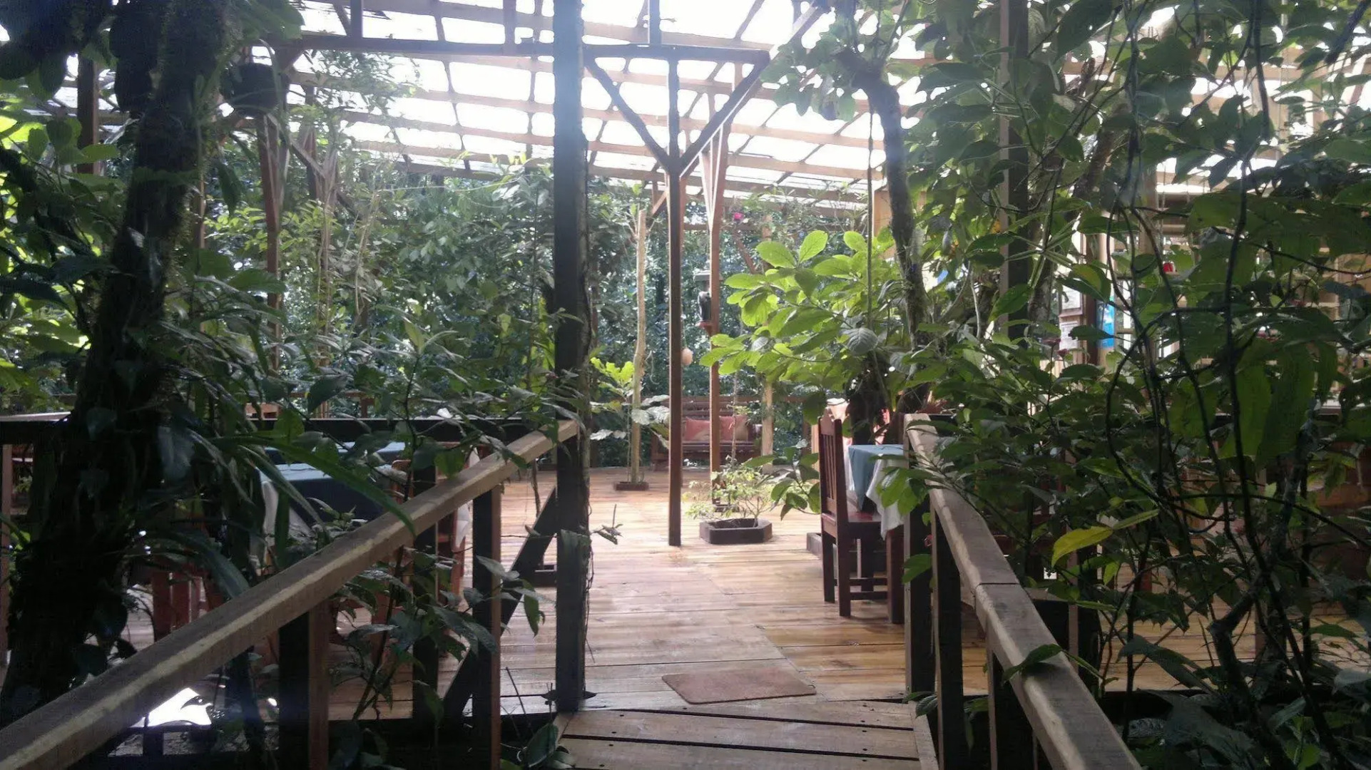 Wagelia Espino Blanco Lodge