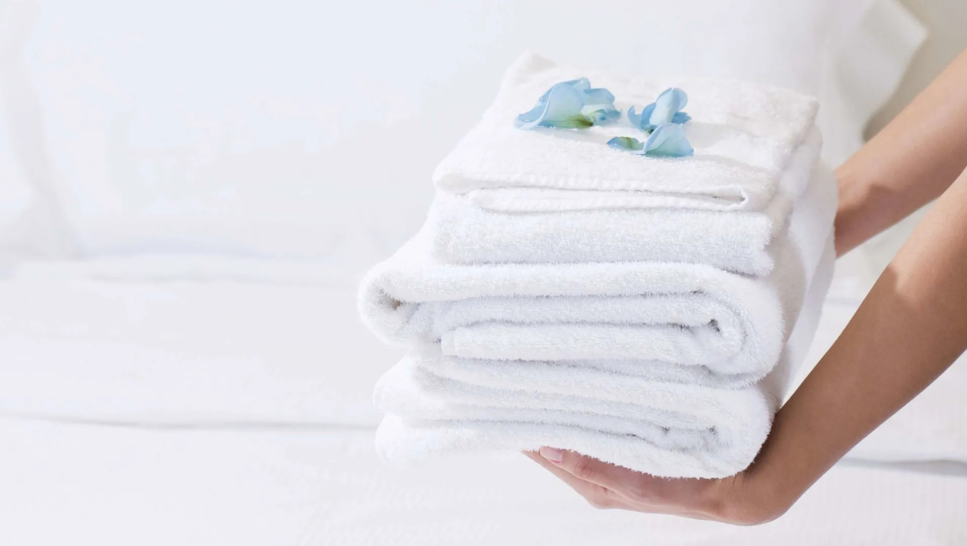 OYO Hotel Georgia near Fairburn/Atlanta