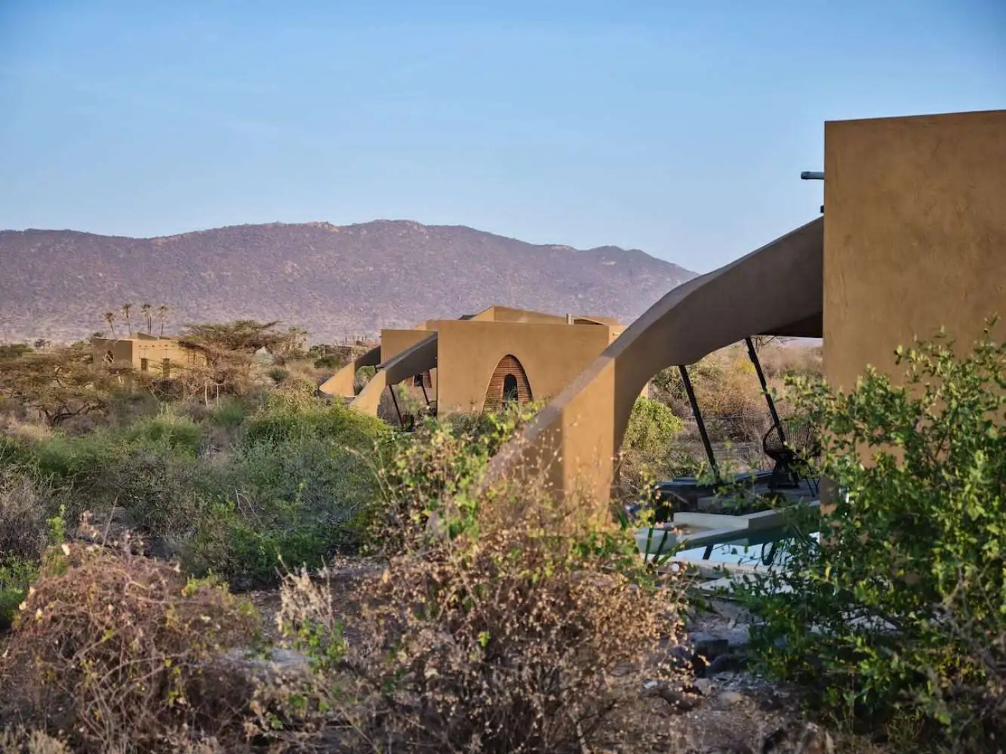 Surana Buffalo Springs