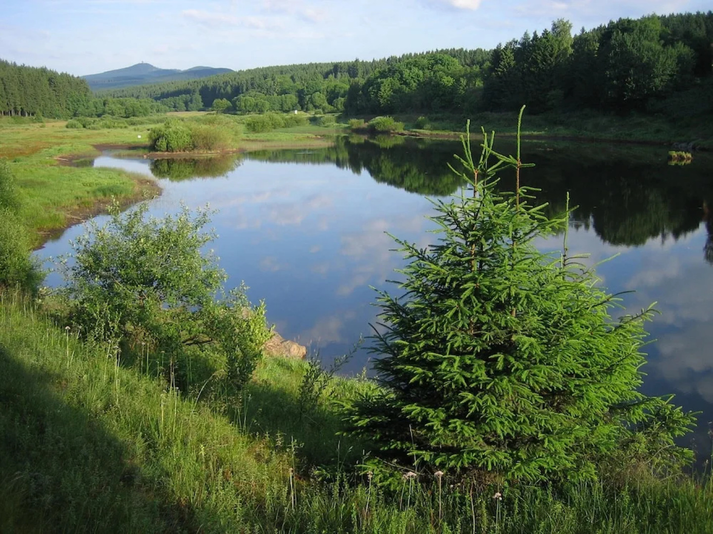 Hotel Grüne Tanne Mandelholz