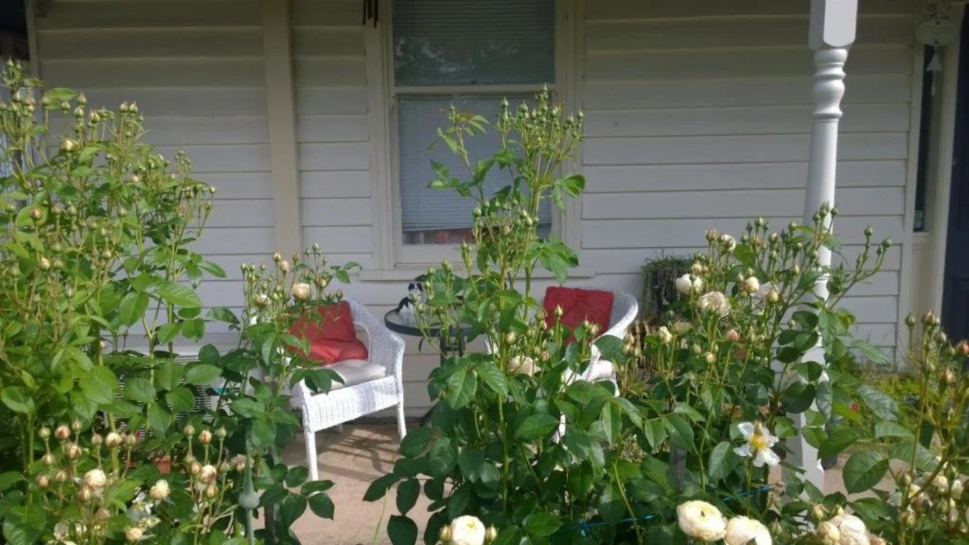 Shalva Cottage