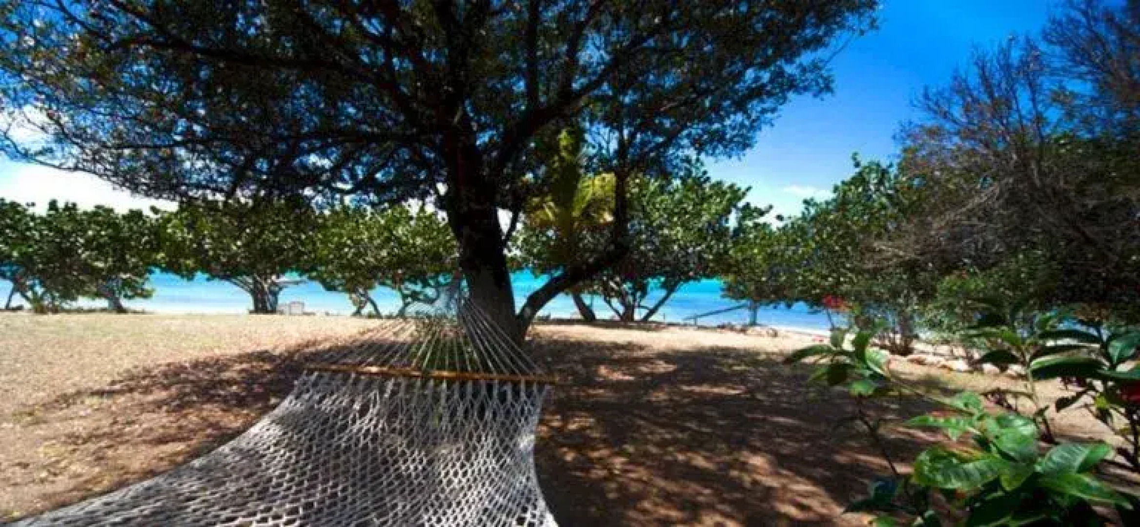 Fischer'S Cove Beach Hotel & Restaurant