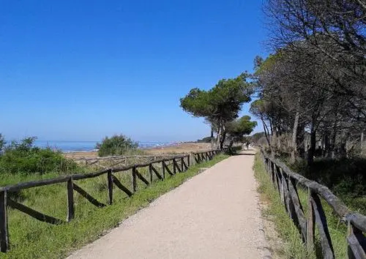 Residence Margherita