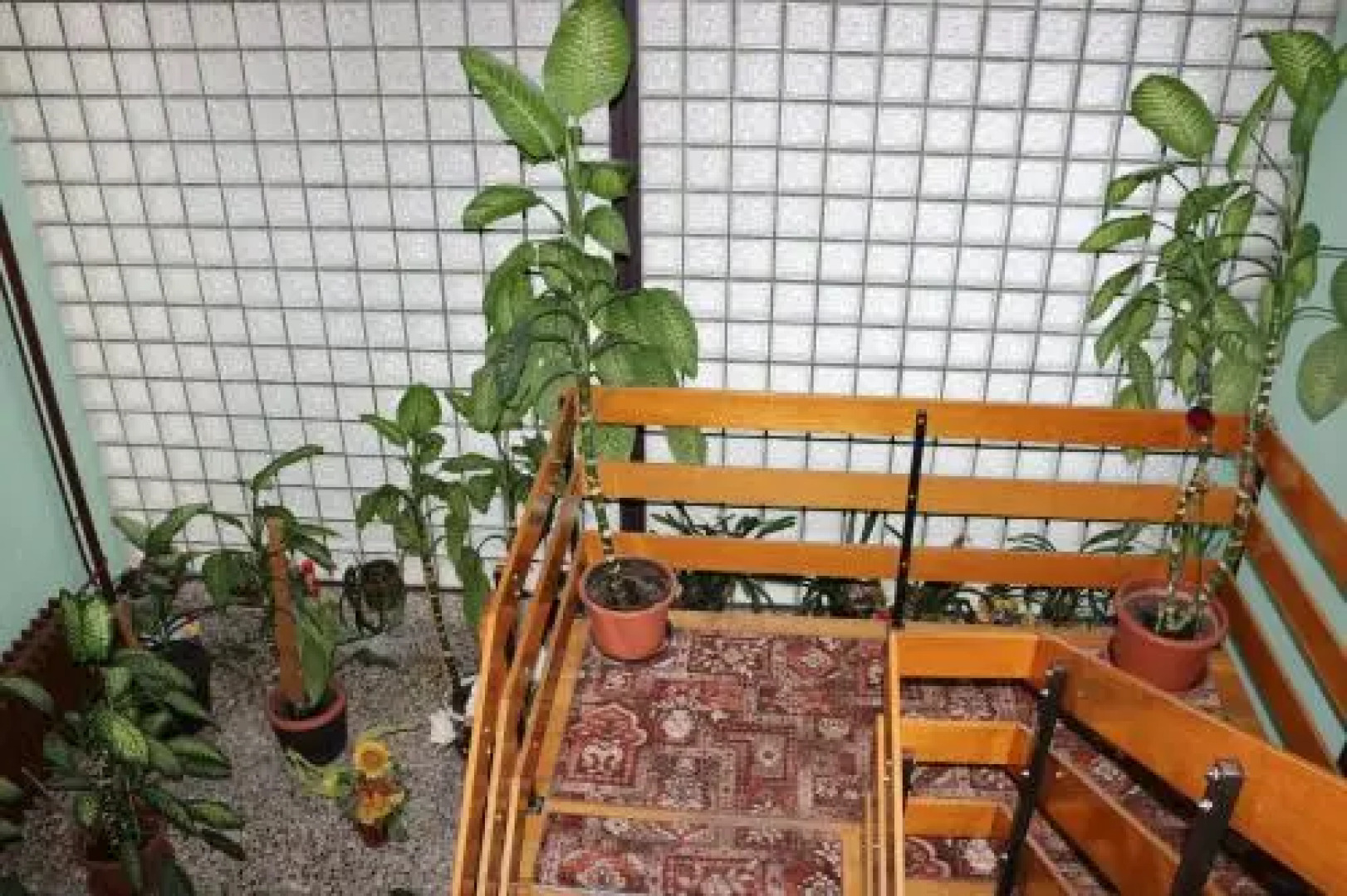 Waldhotel Alte Hölle