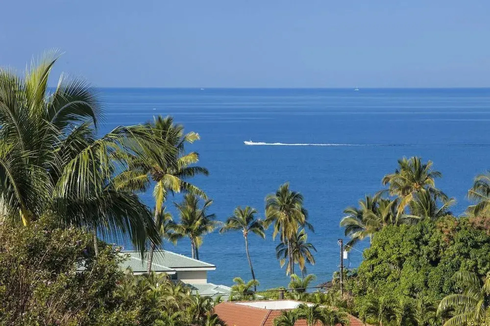 Palms at Wailea #1102
