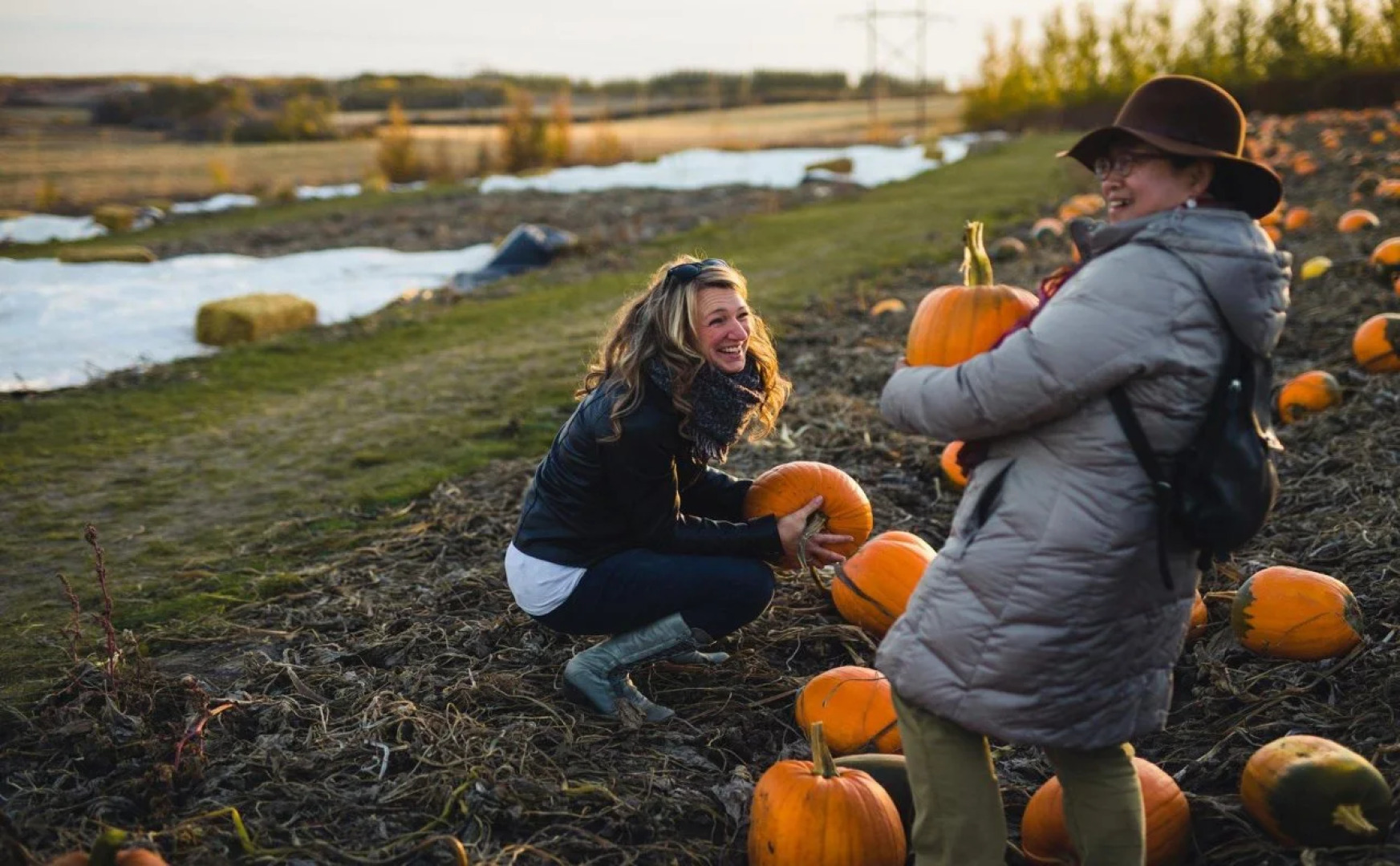 Holiday Inn Hotel & Suites Saskatoon Downtown by IHG