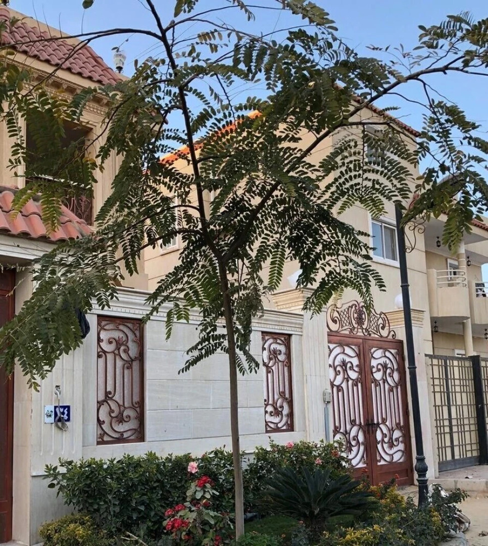 IBIS