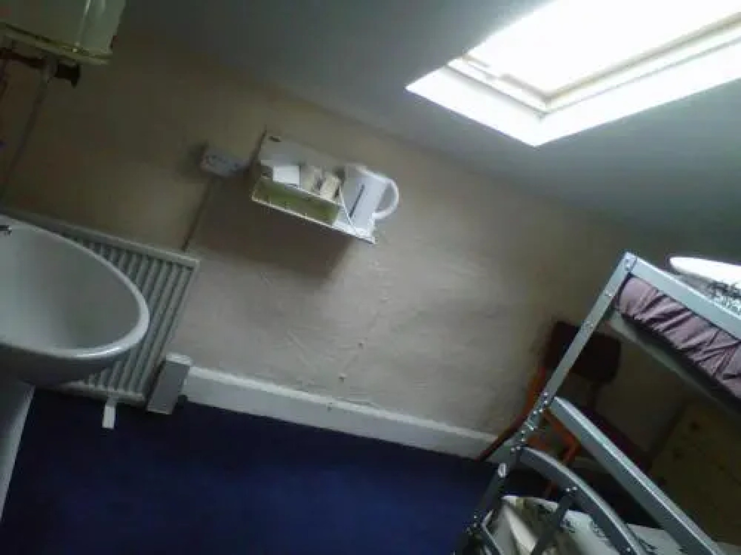 The Satter International