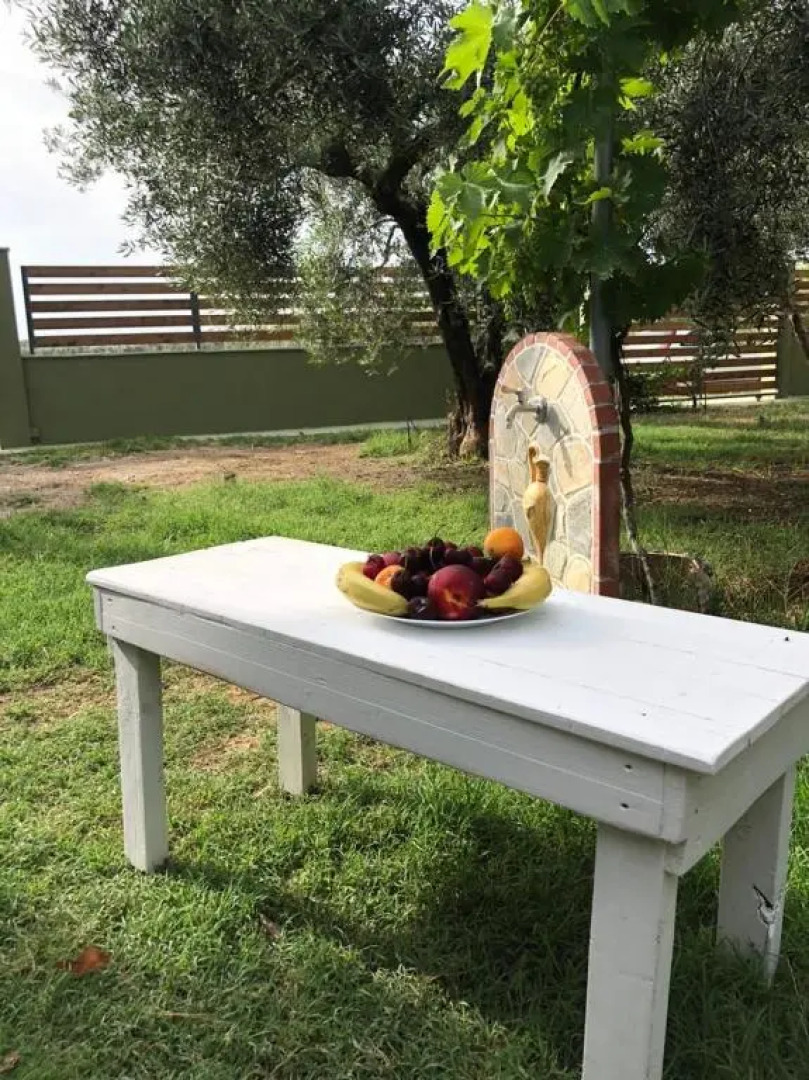 Green Olive Studios 3