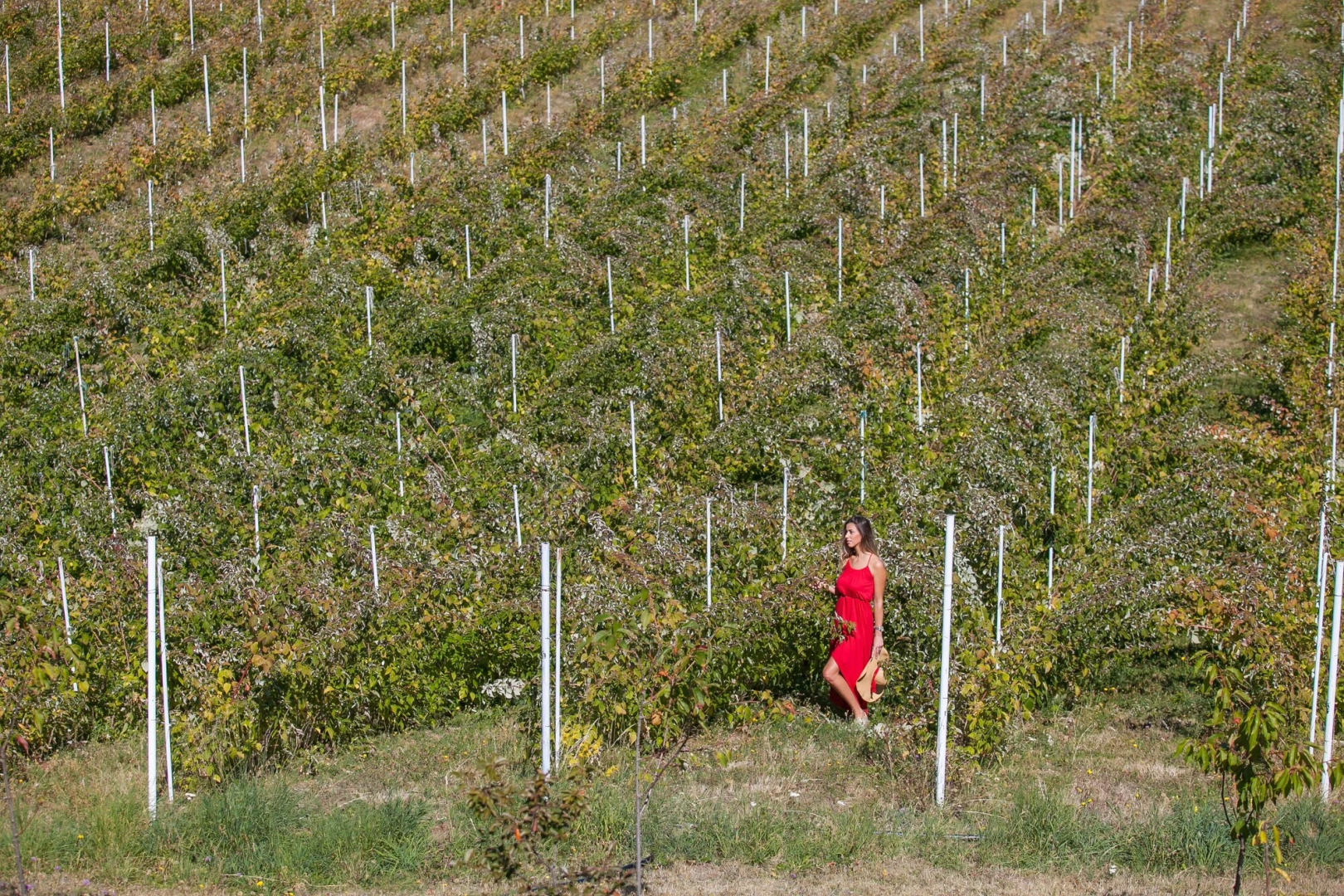 Hotel & Resort Gacka