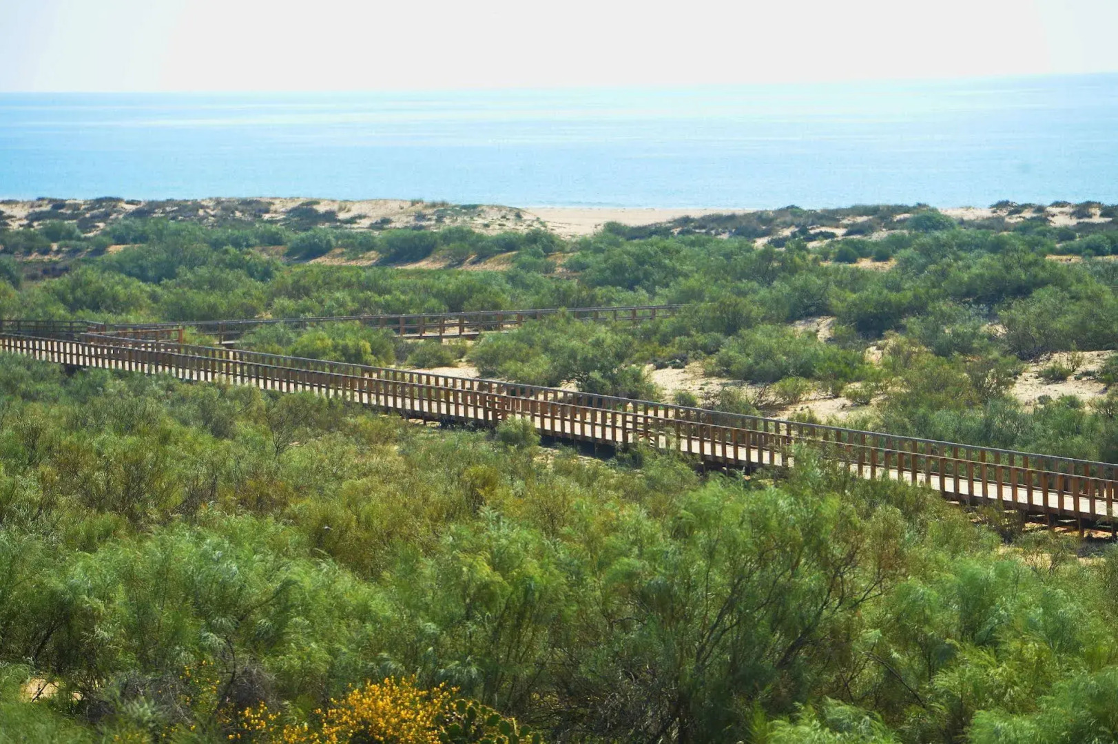 Praia da Lota Resort - Hotel & Apartments