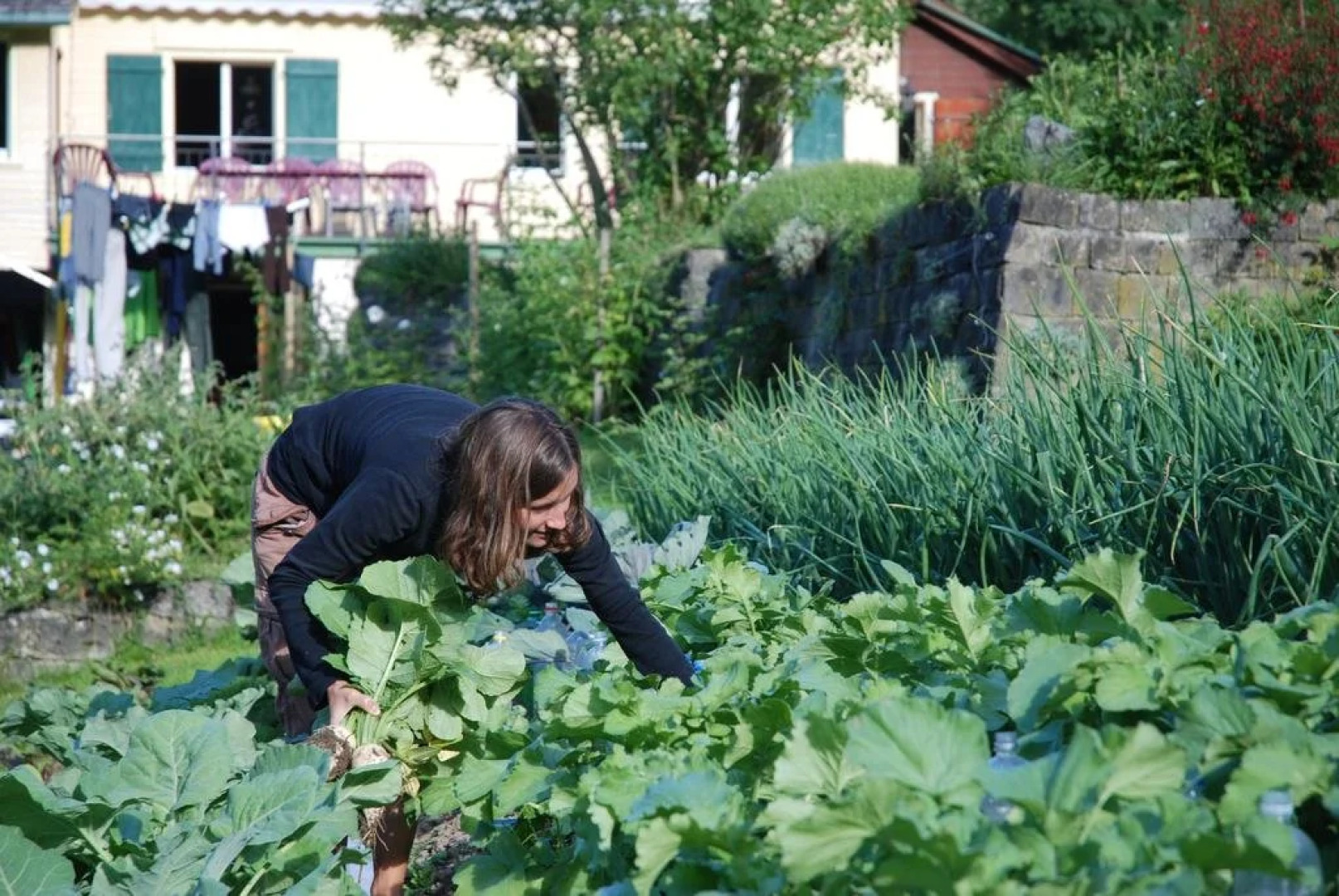 Sonnmatt Bergpension & Gesundheitszentrum