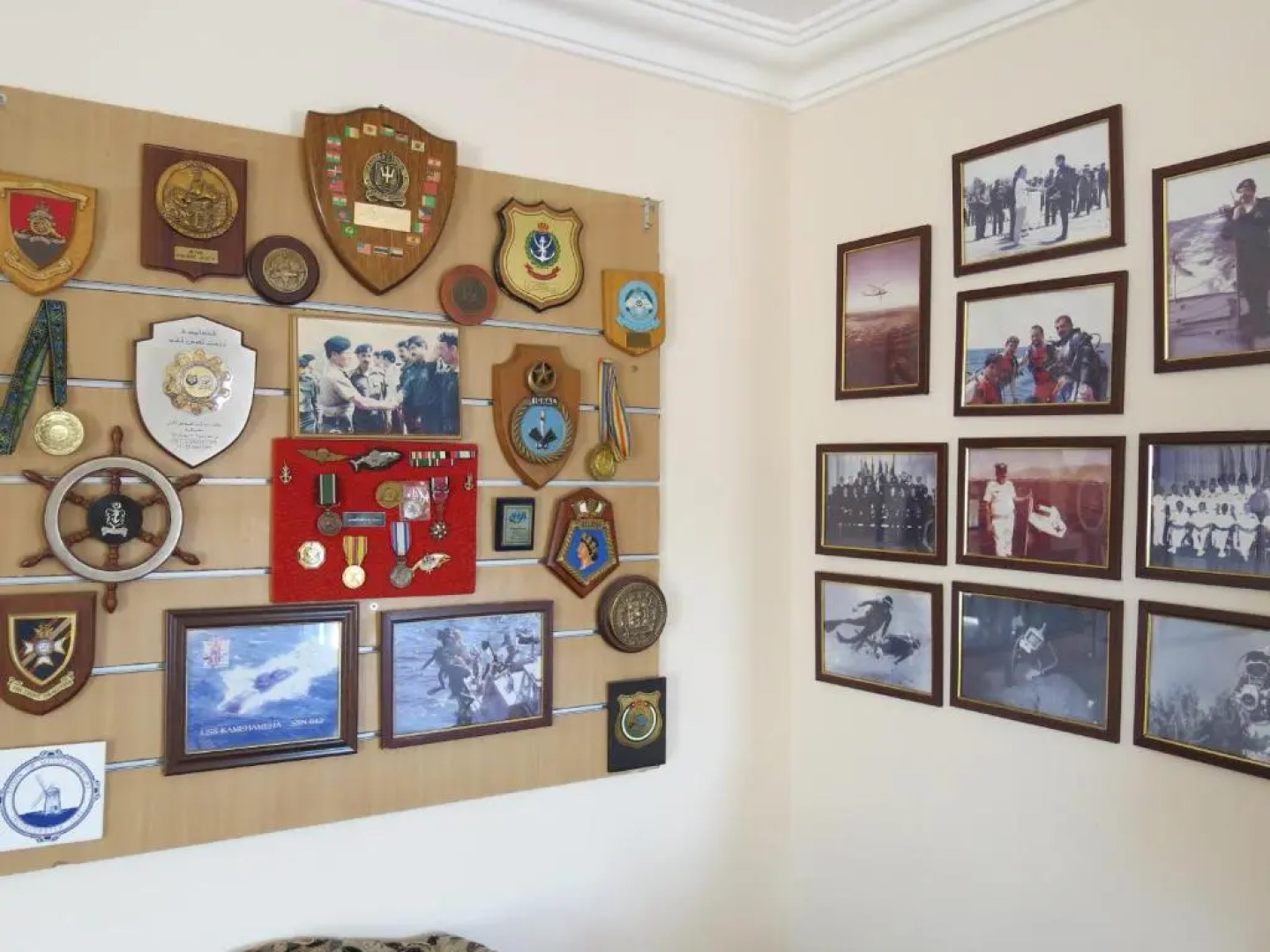 Red Sea Dive Center - Hotel & Dive Center