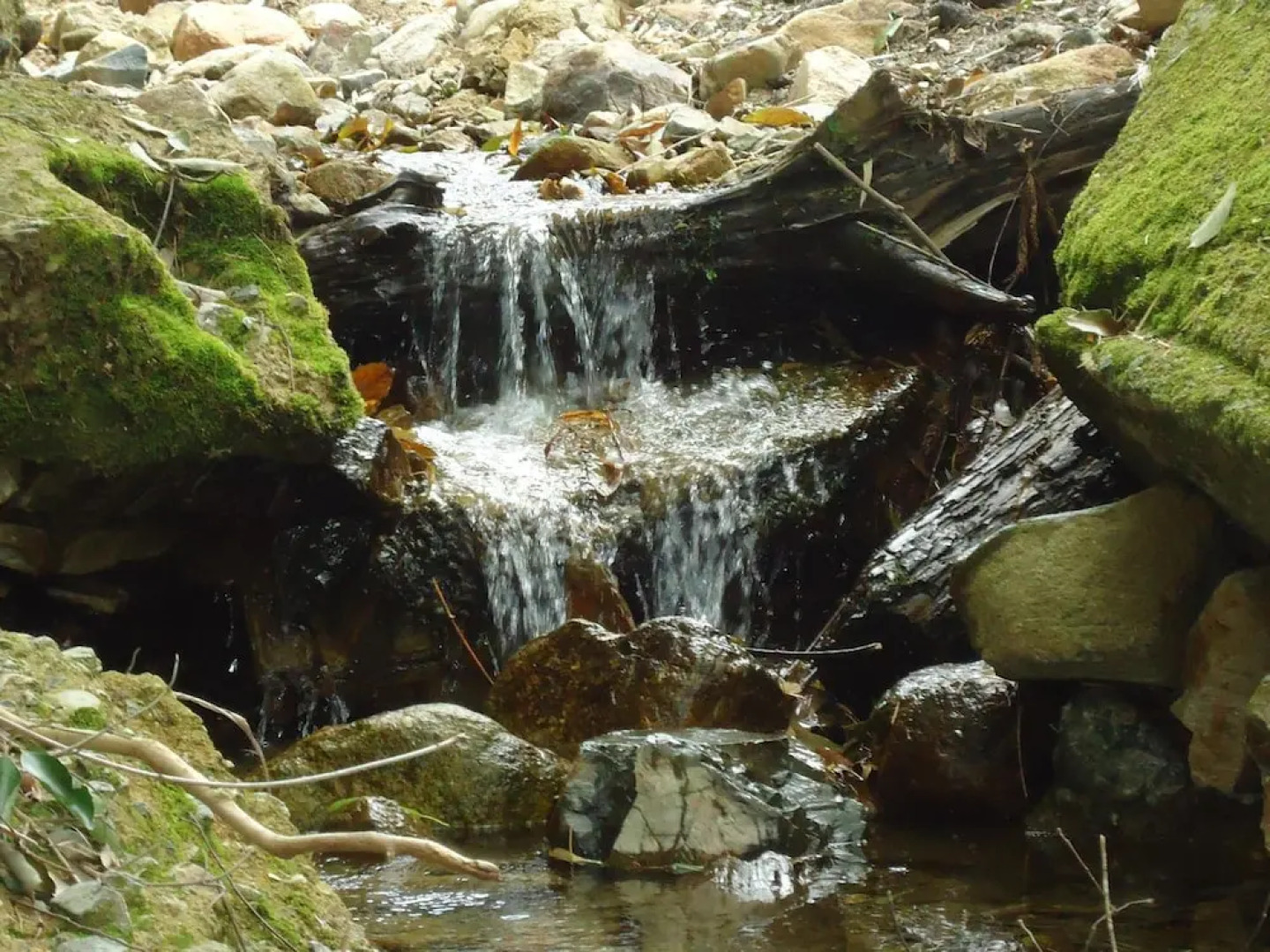 Hotel Sanso Arima Koukaen