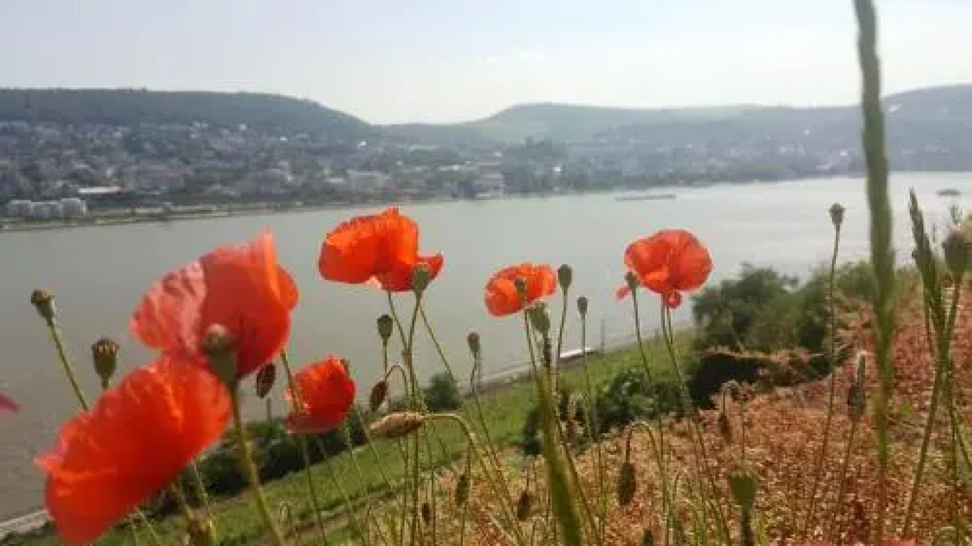 Ruthmann-Rheinblick Hotel