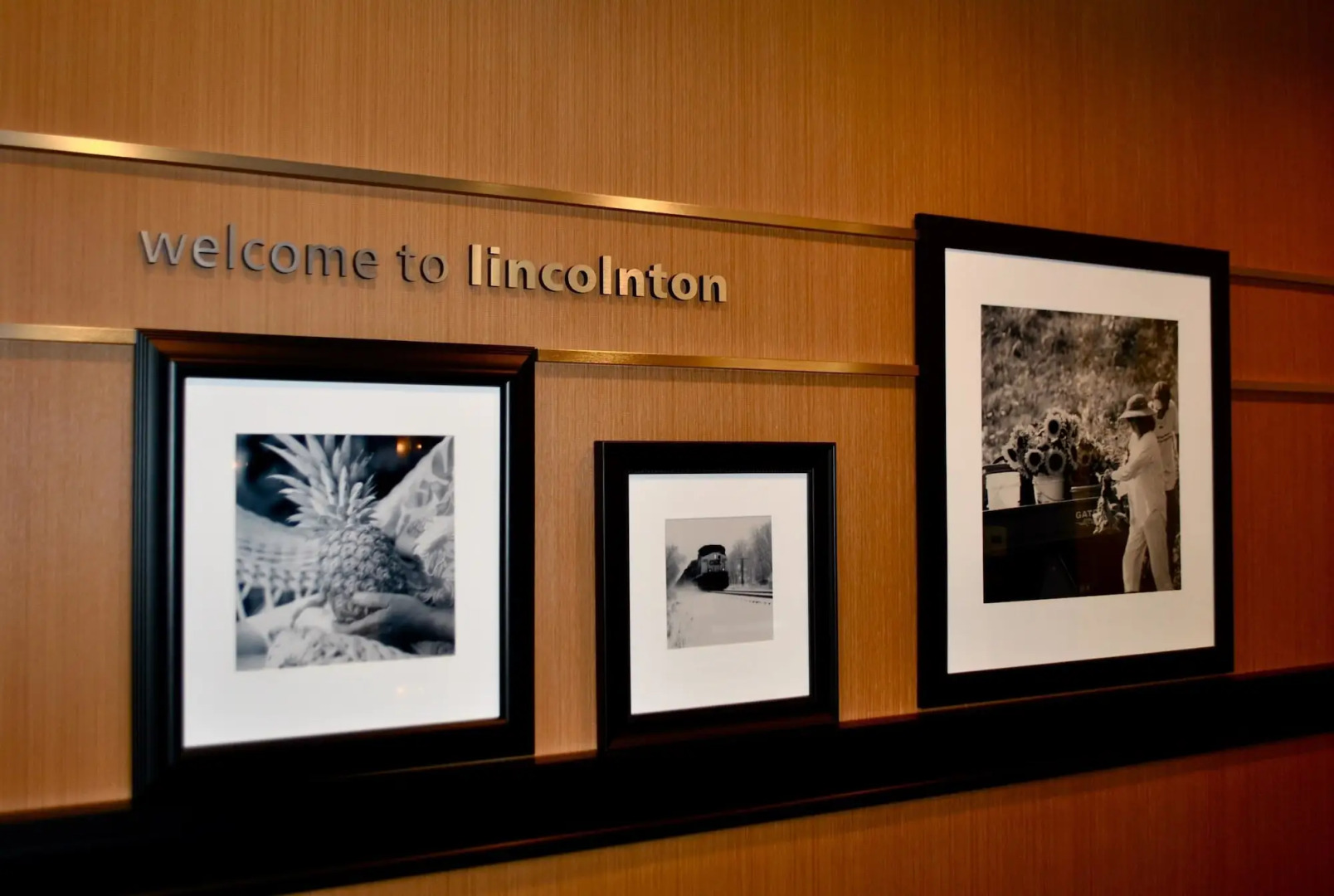 Hampton Inn Lincolnton