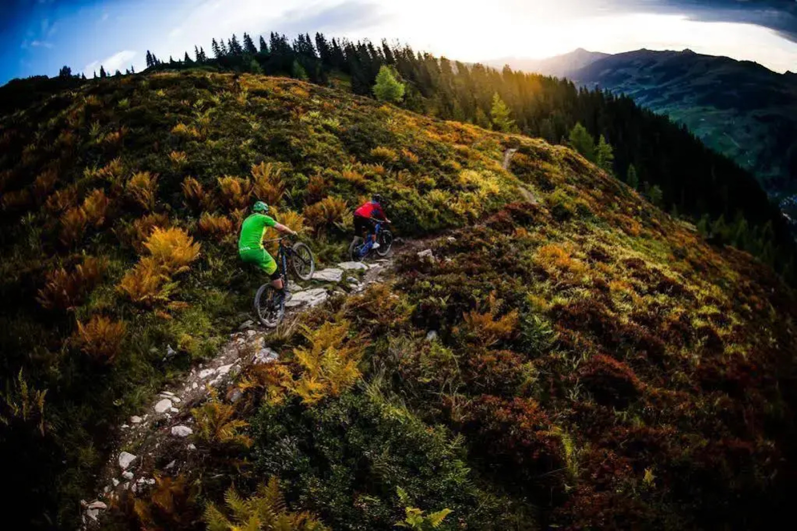 Ski & Bike Hotel Wiesenegg