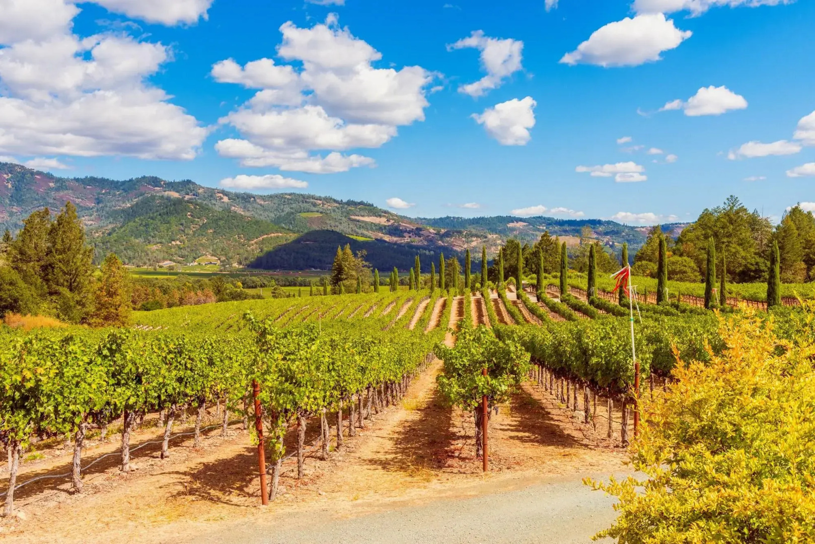 Holiday Inn Express & Suites Suisun City by IHG