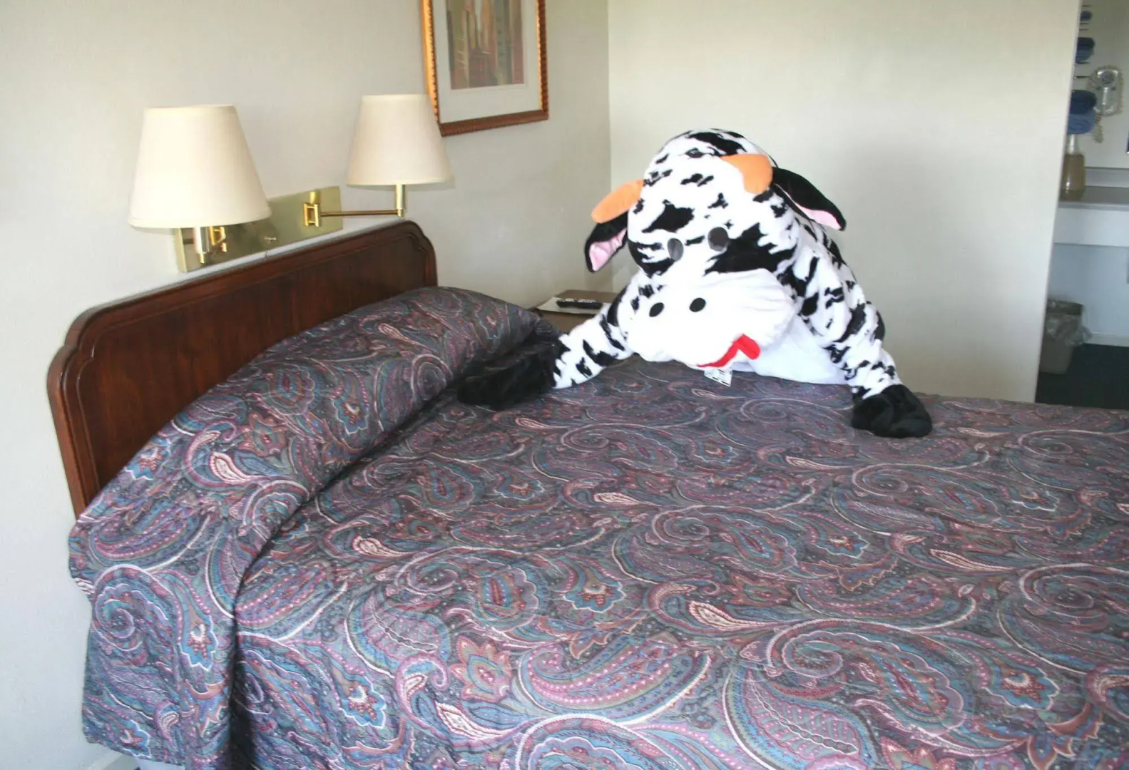 Town and Country Motel