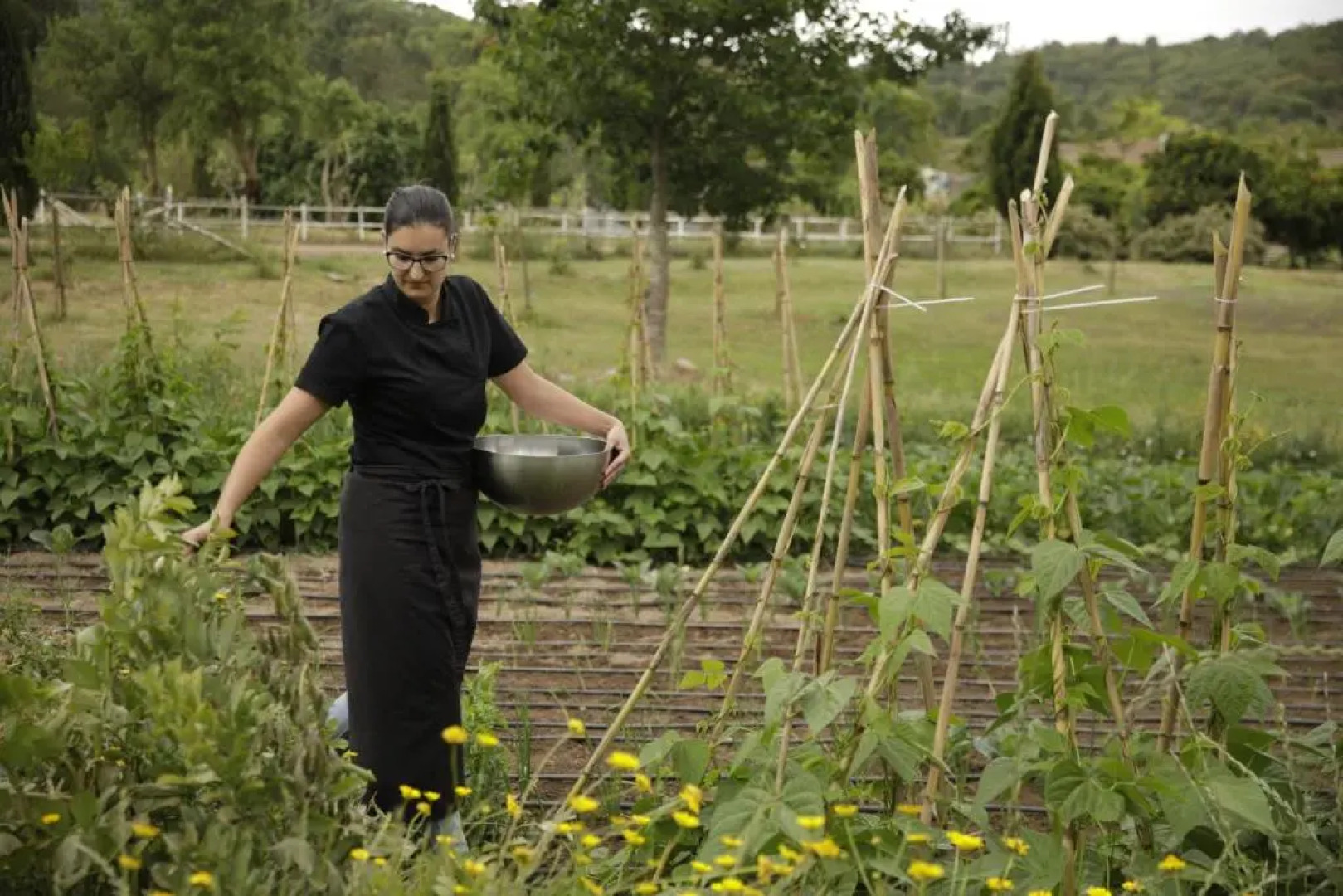 Herdade da Matinha Country House & Restaurant