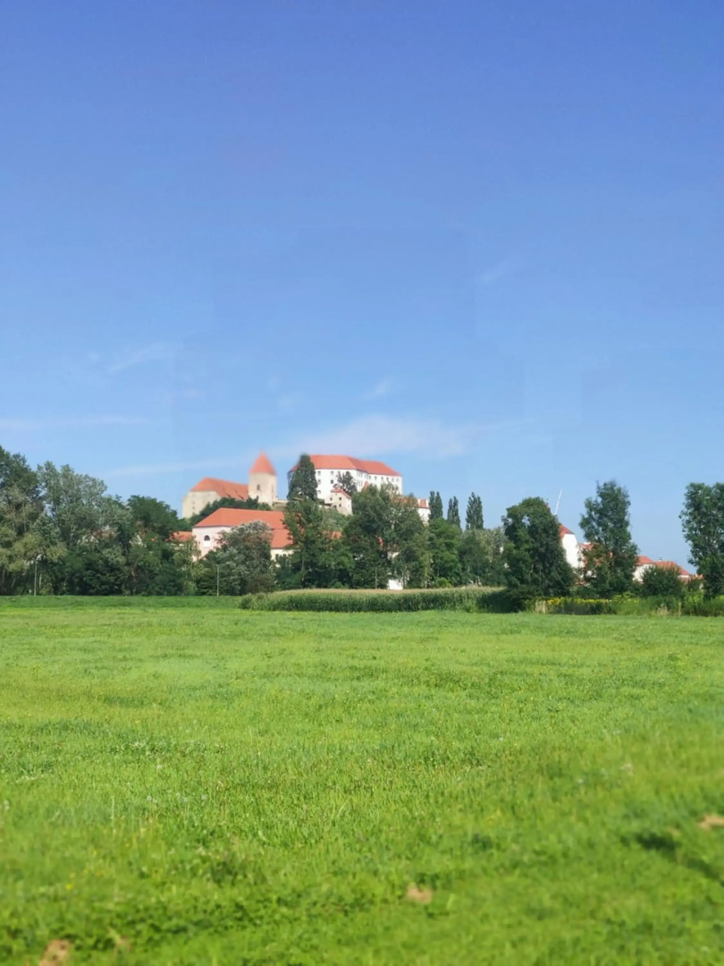 Studio apartment "Iris"