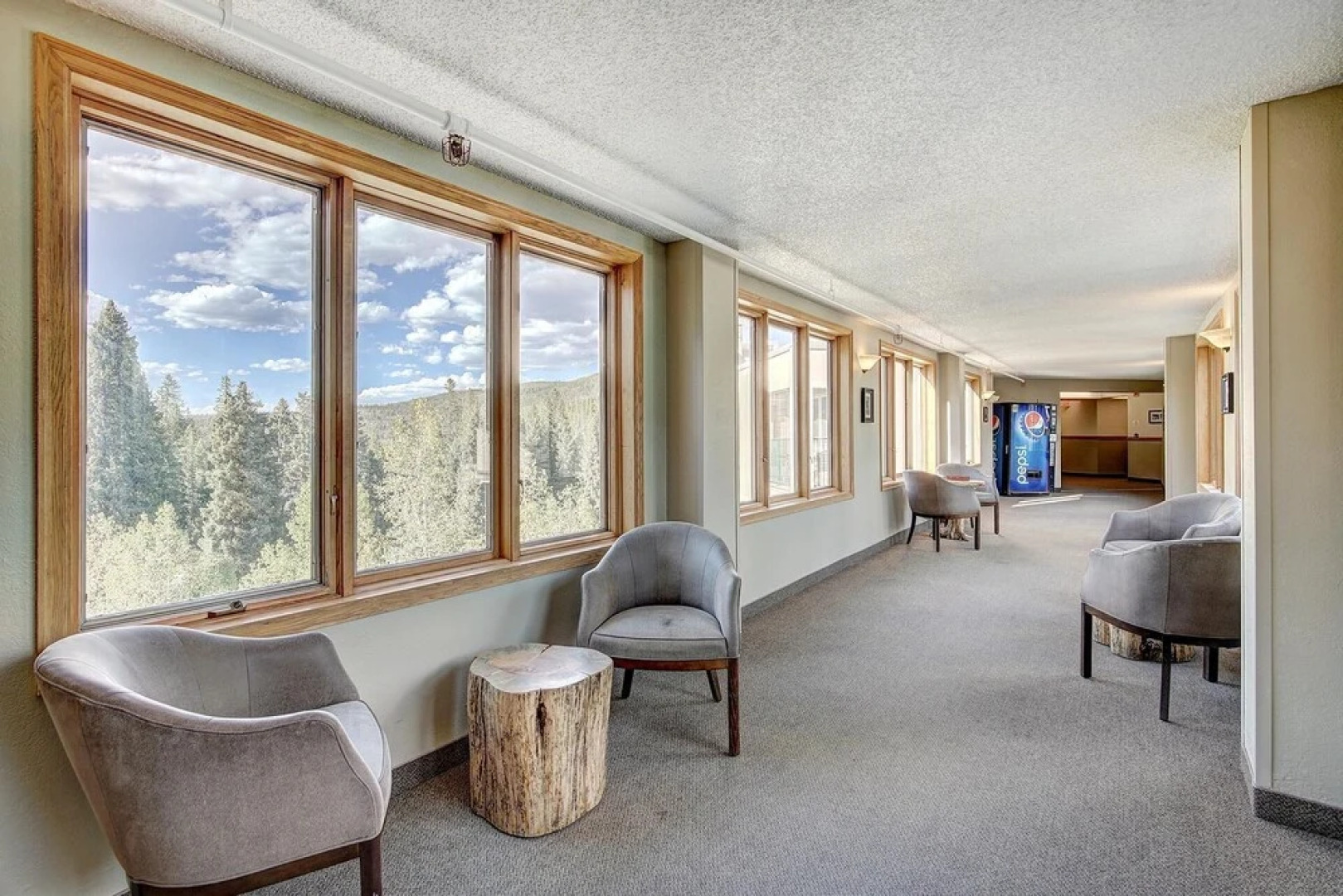 New Chic Ski-in Ski-out Condo Park