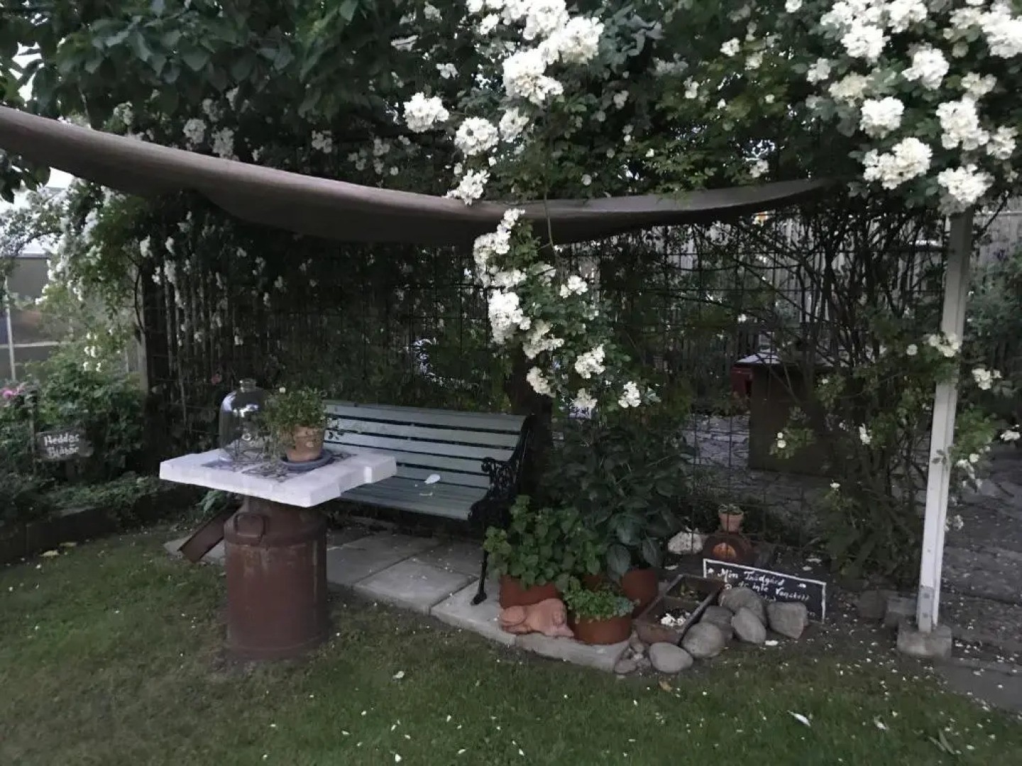 B&B Bland ormbunkar och rosor