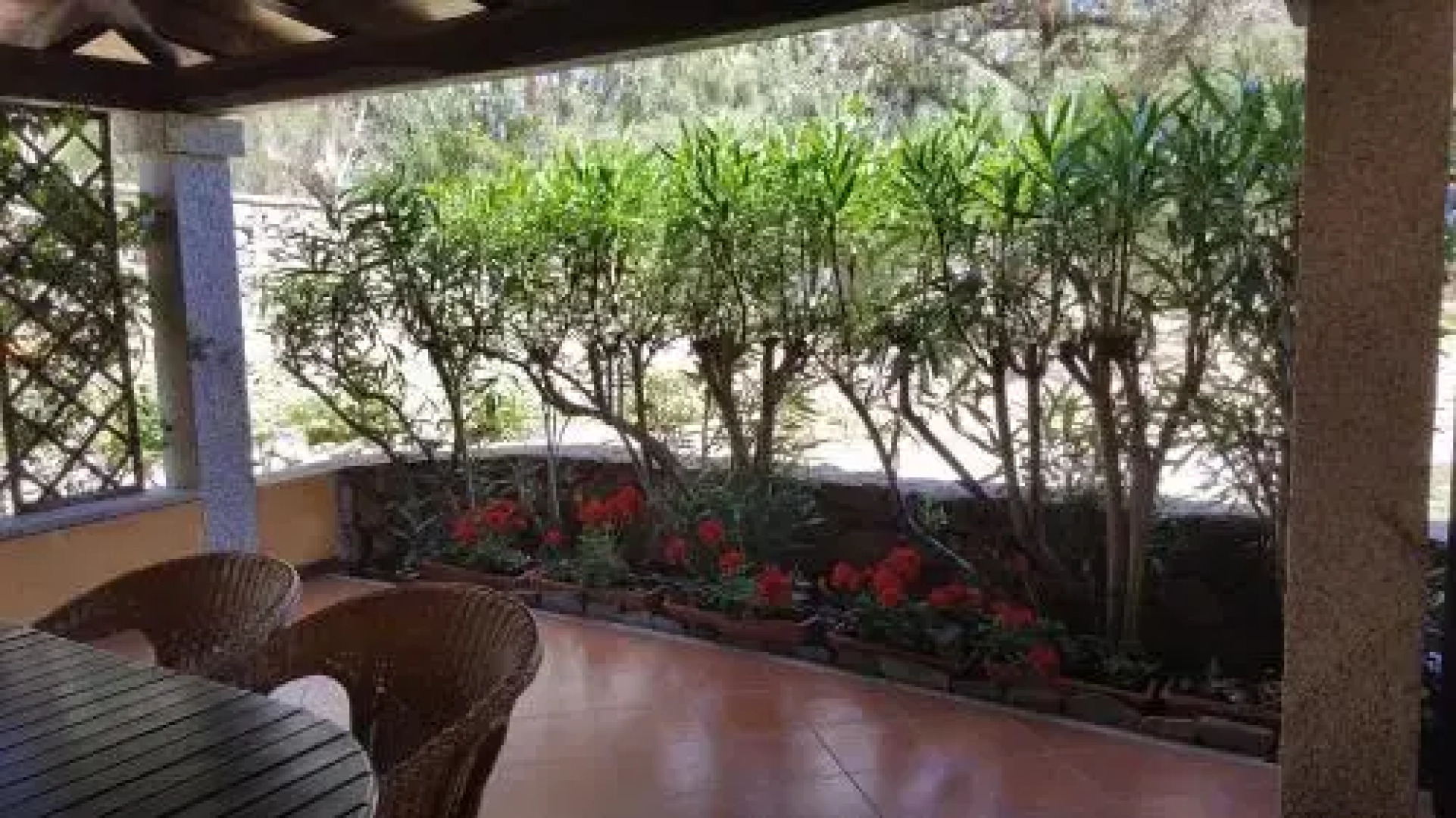 Porto Coda Cavallo Apartaments