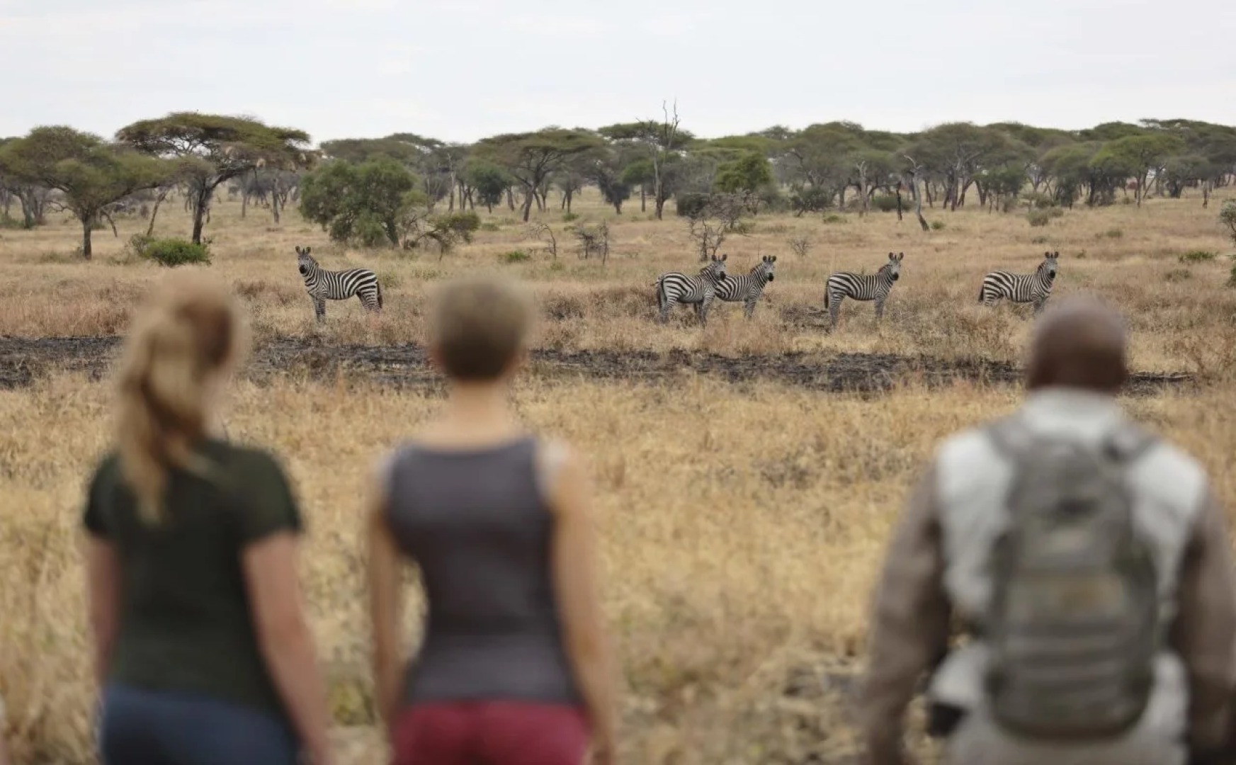 Oliver's Camp - All Inclusive