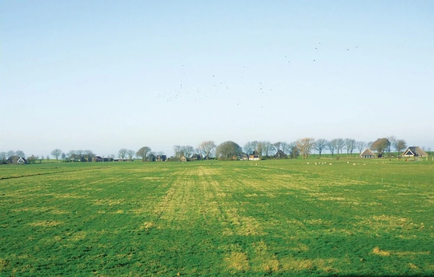 Nice Home in Hippolytushoef With 4 Bedrooms, Sauna and Wifi