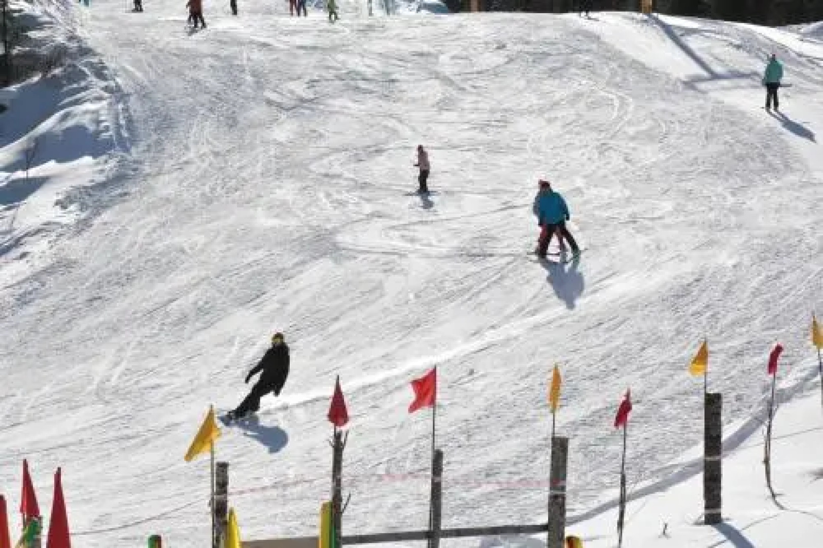 Green House at Teletskoye Lake