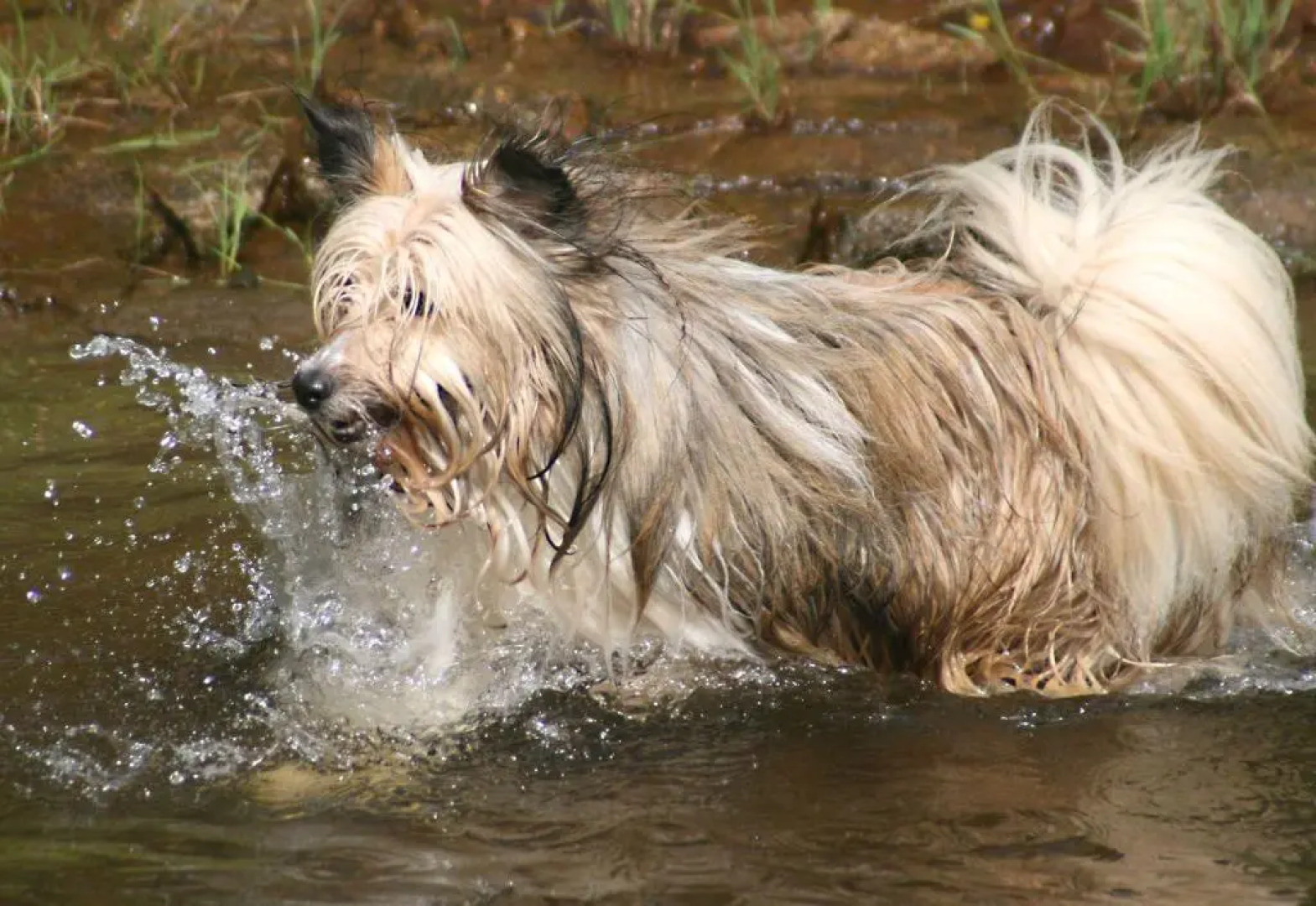 Ferienwohnung-Waldstrasse-mit-Garten-nur-50-Meter-vom-Wald-entfernt