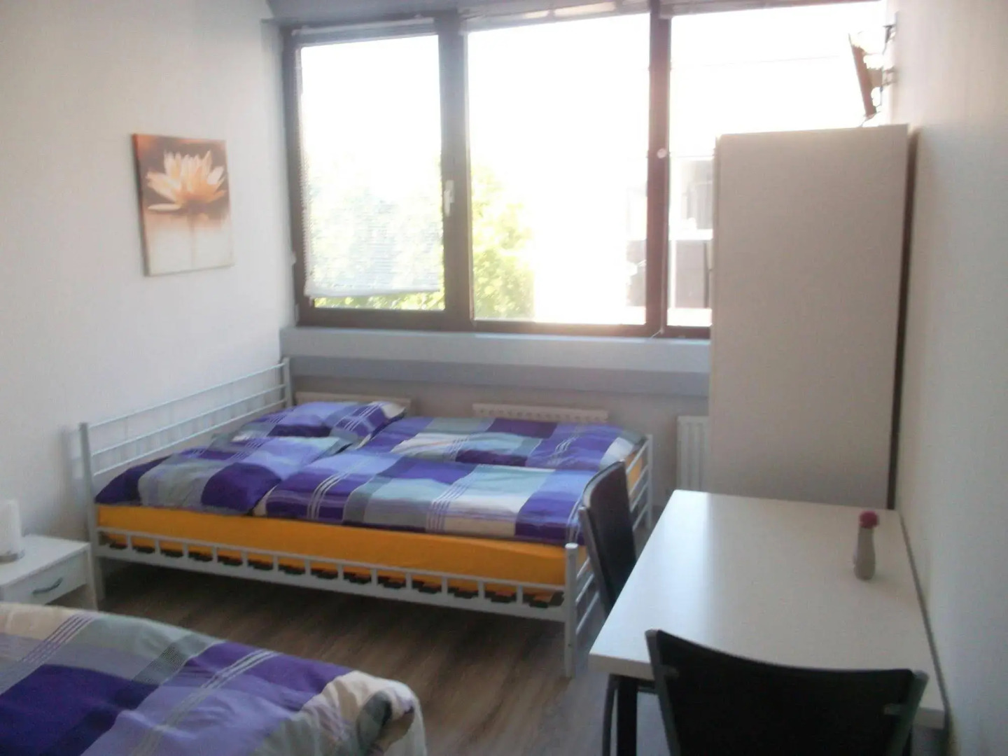 Frankfurt Central Hostel