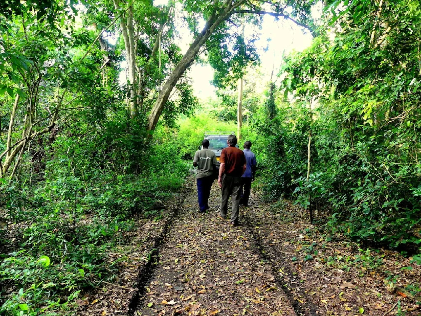 Wami River Bush Retreat - Kisampa