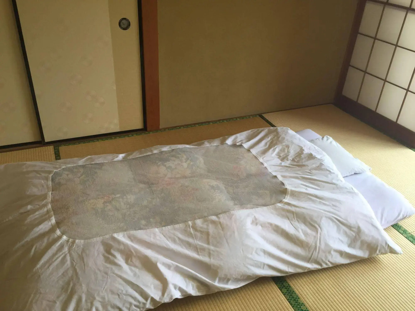 Yugawara Onsen Ryokan Greenso